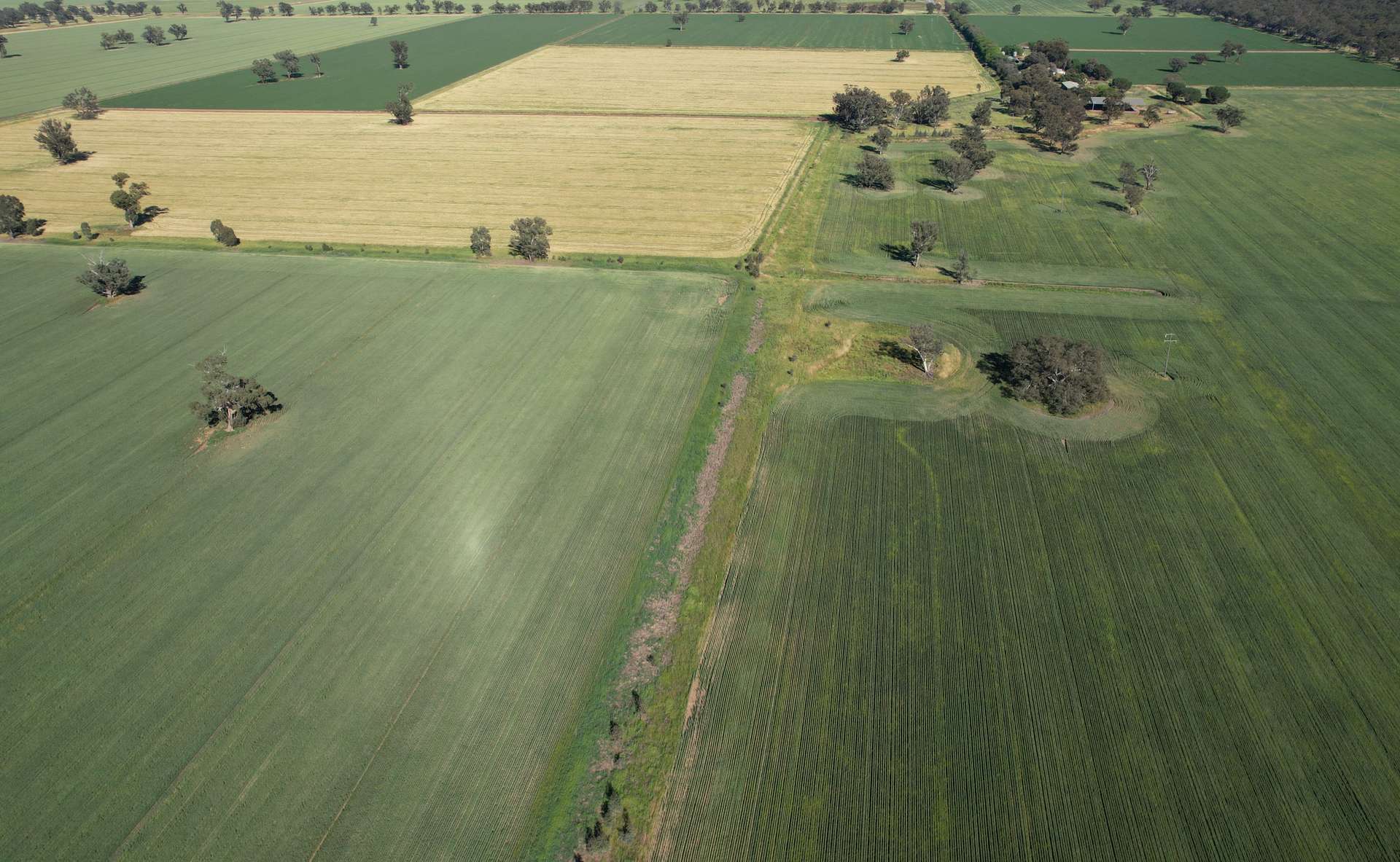 "Allandale" 7861 Lachlan Valley Way, Forbes For Sale by Farmbuy.com - image 7
