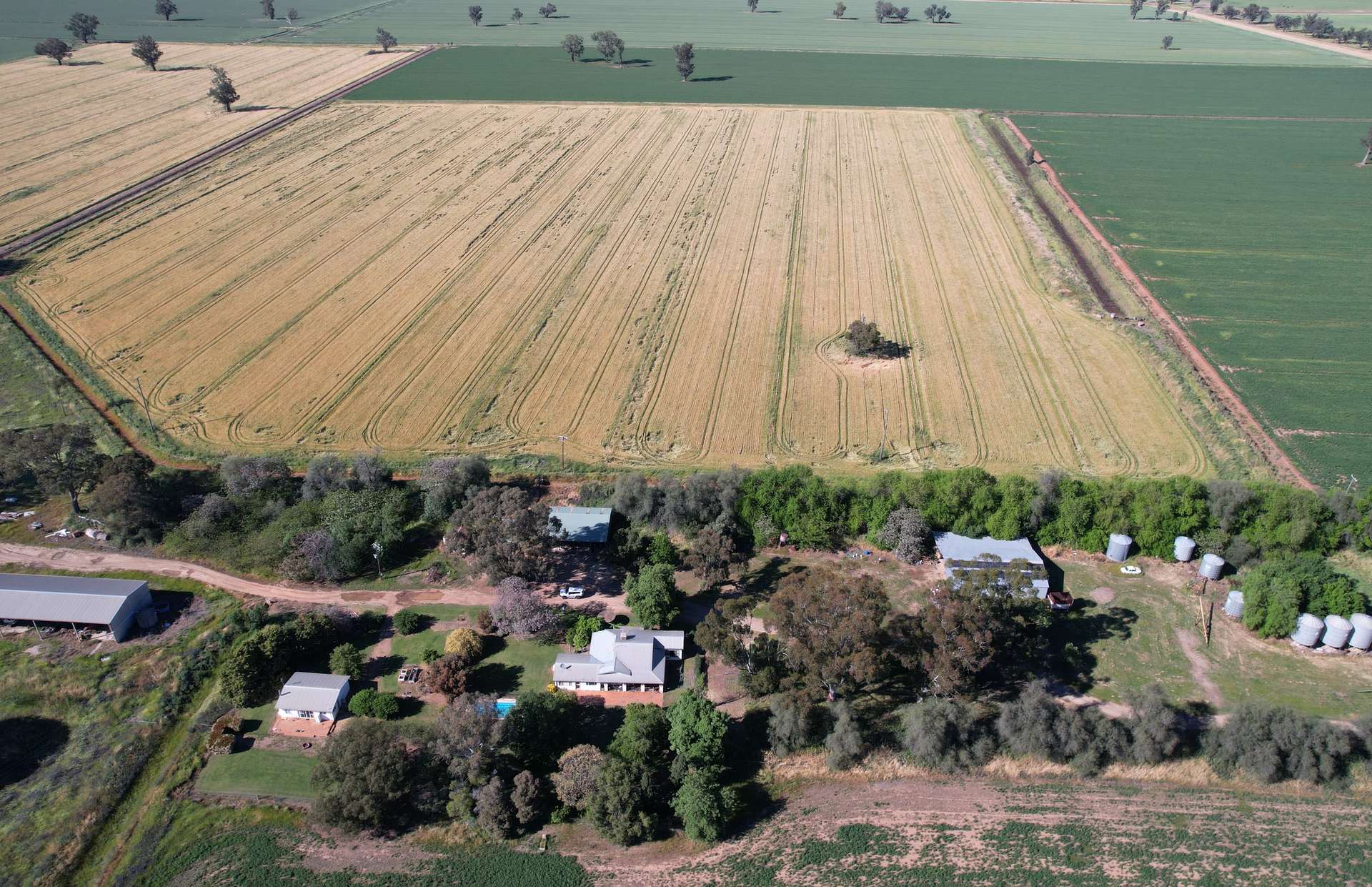 "Allandale" 7861 Lachlan Valley Way, Forbes For Sale by Farmbuy.com - image 5