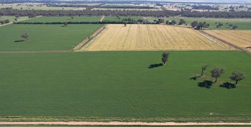 "Allandale" 7861 Lachlan Valley Way, Forbes NSW 2871