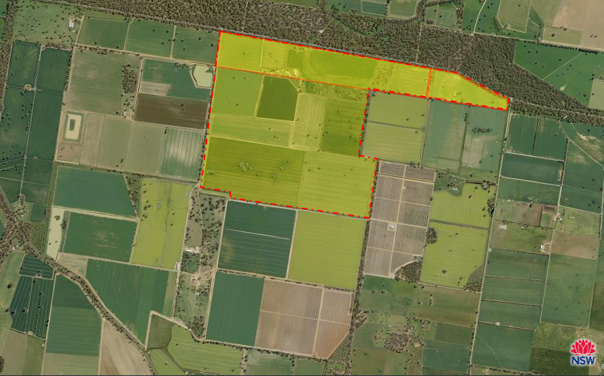 "Allandale" 7861 Lachlan Valley Way, Forbes For Sale by Farmbuy.com - image 34