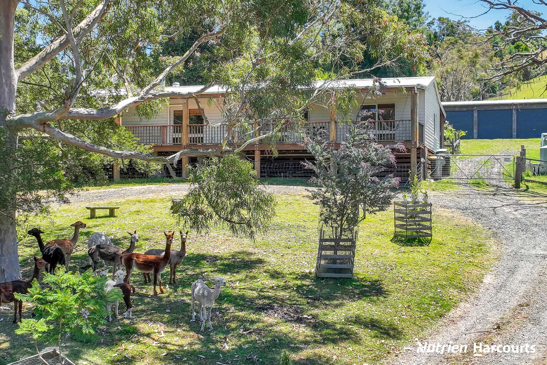 1704 Tarra Valley Road, Tarra Valley For Sale by Farmbuy.com - image 20