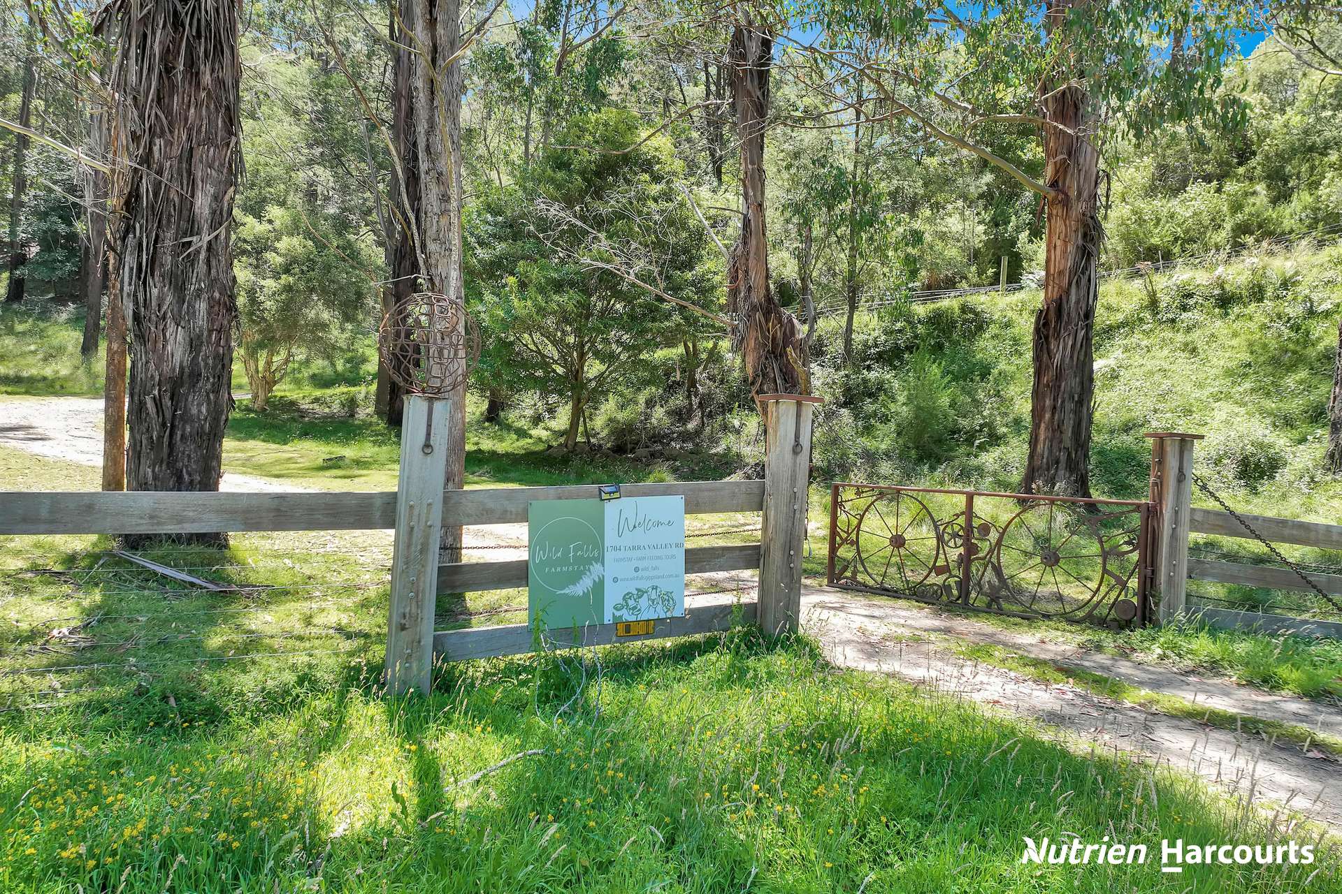 1704 Tarra Valley Road, Tarra Valley For Sale by Farmbuy.com - image 22