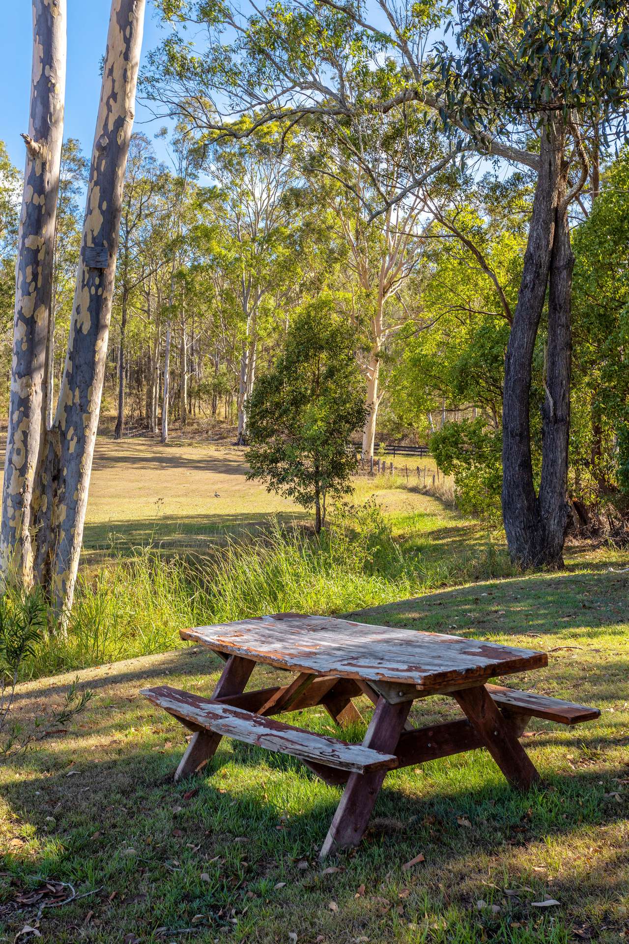 216 Cedar Party Road, Taree Sold by Farmbuy.com - image 23