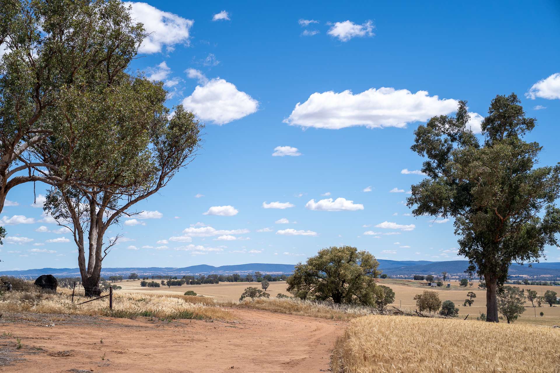 530 Billimari Road, Cowra Sold by Farmbuy.com - image 8