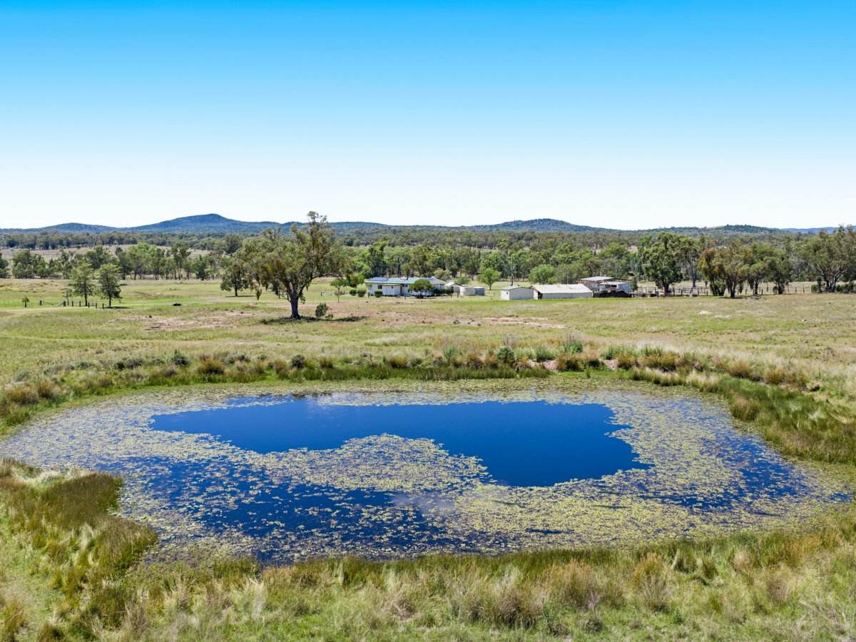 3167 Stanthorpe Inglewood Road, Inglewood For Sale by Farmbuy.com - image 21