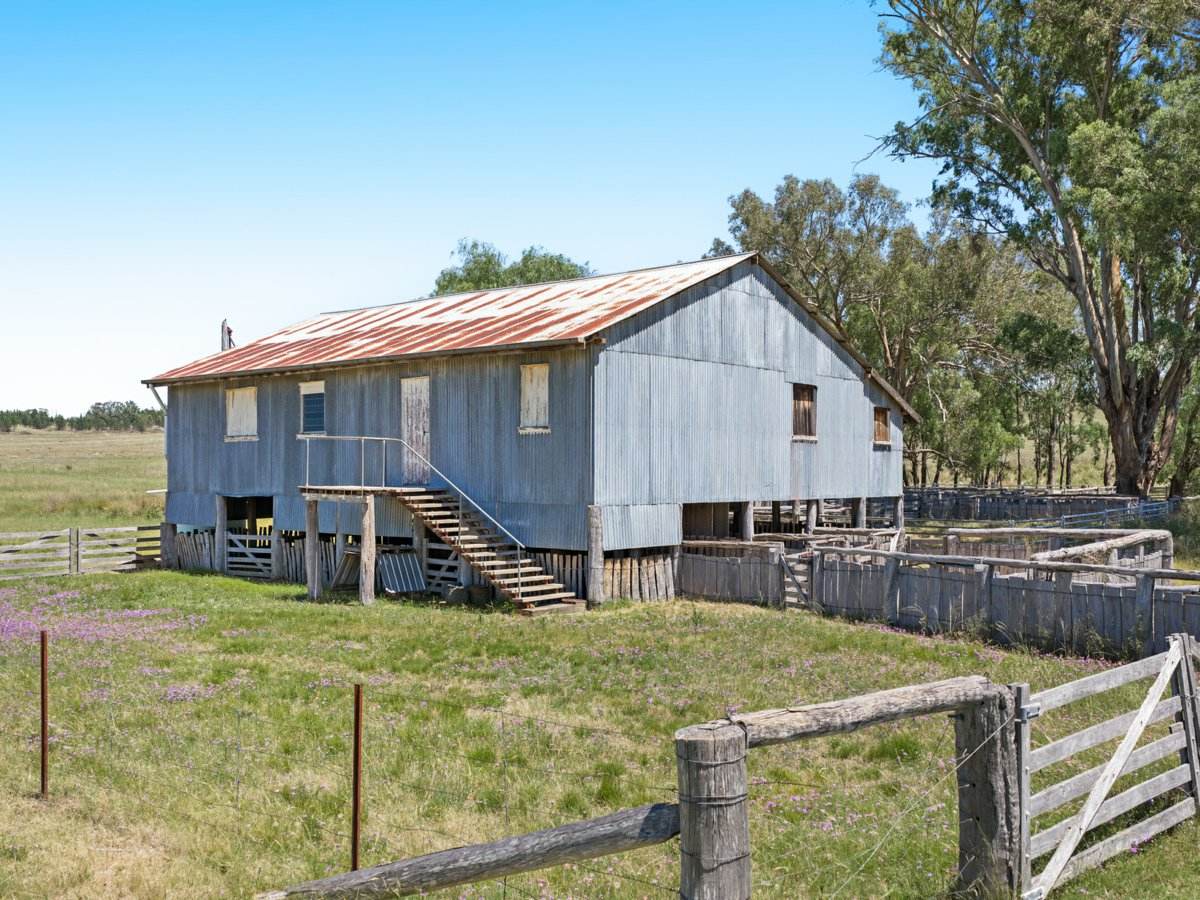 3167 Stanthorpe Inglewood Road, Inglewood For Sale by Farmbuy.com - image 15