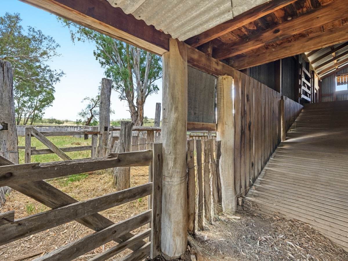 3167 Stanthorpe Inglewood Road, Inglewood For Sale by Farmbuy.com - image 18
