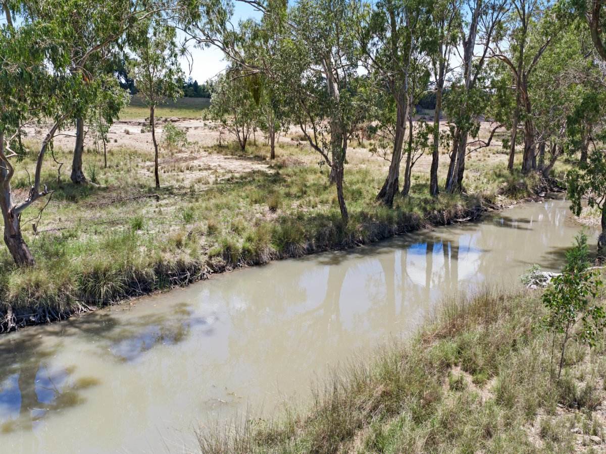 3167 Stanthorpe Inglewood Road, Inglewood For Sale by Farmbuy.com - image 24