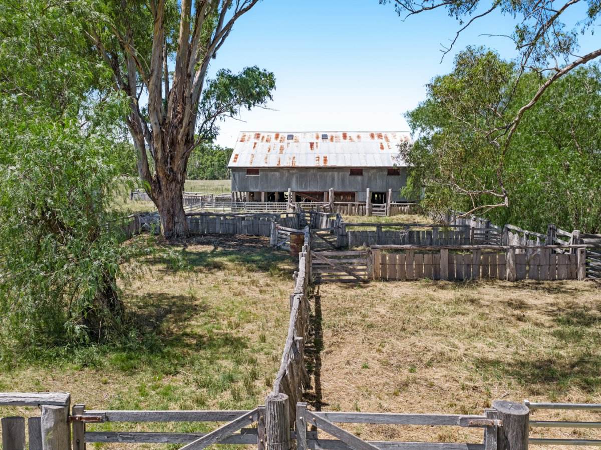 3167 Stanthorpe Inglewood Road, Inglewood For Sale by Farmbuy.com - image 19