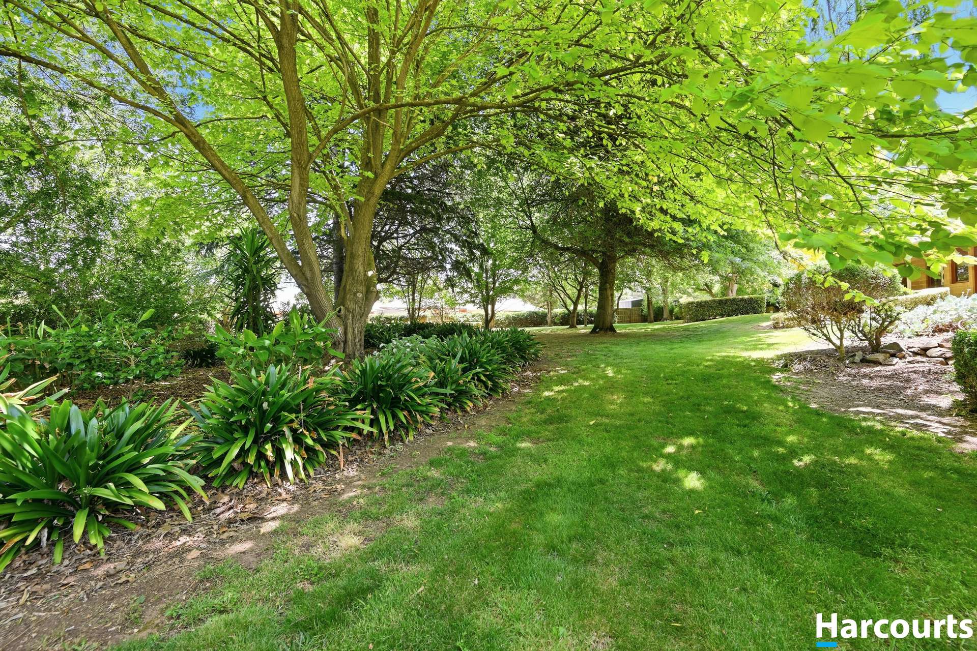 7A Louise Simon Court, Leongatha For Sale by Farmbuy.com - image 7