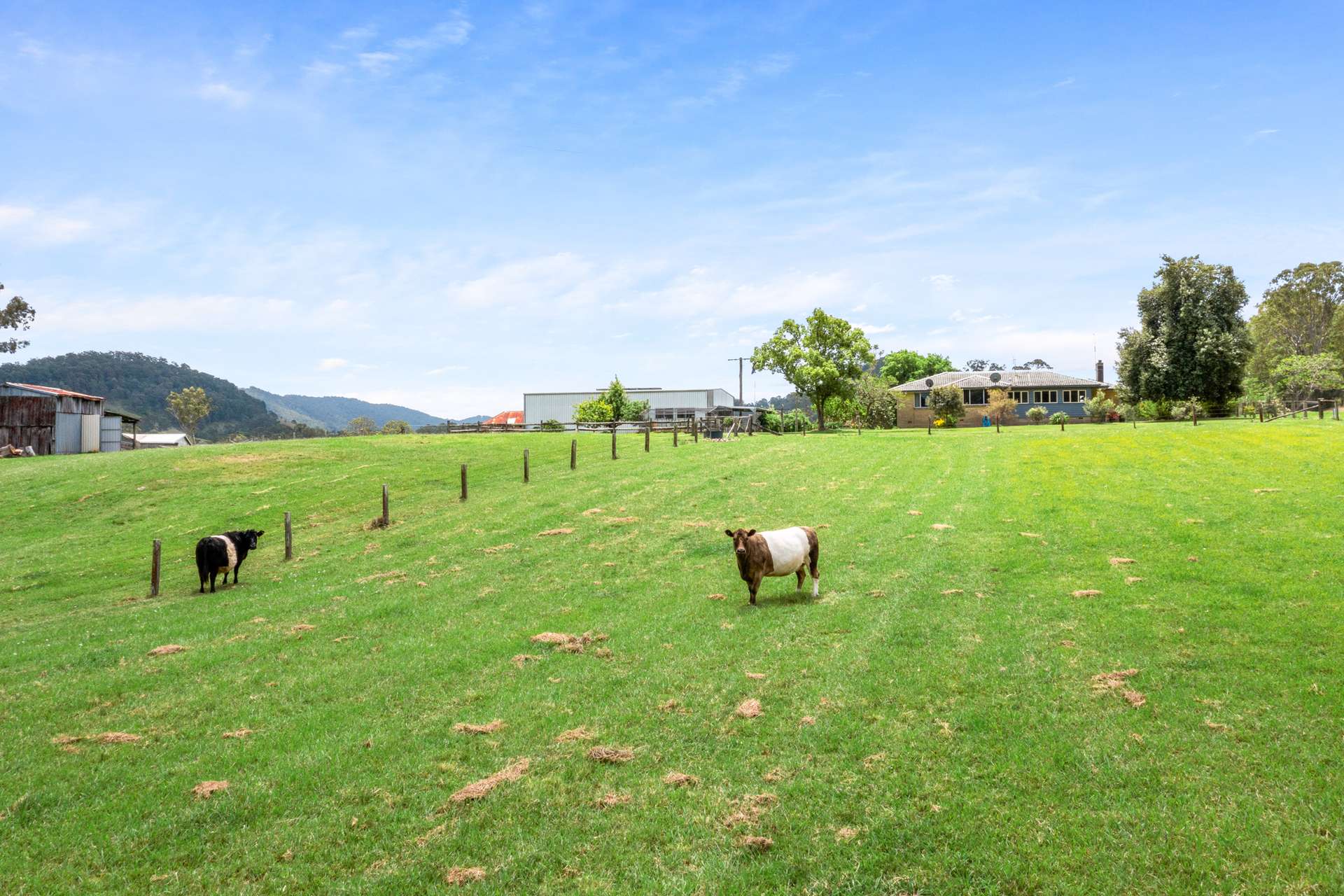 31 Johnsons Creek Road, Stroud Road Sold by Farmbuy.com - image 15