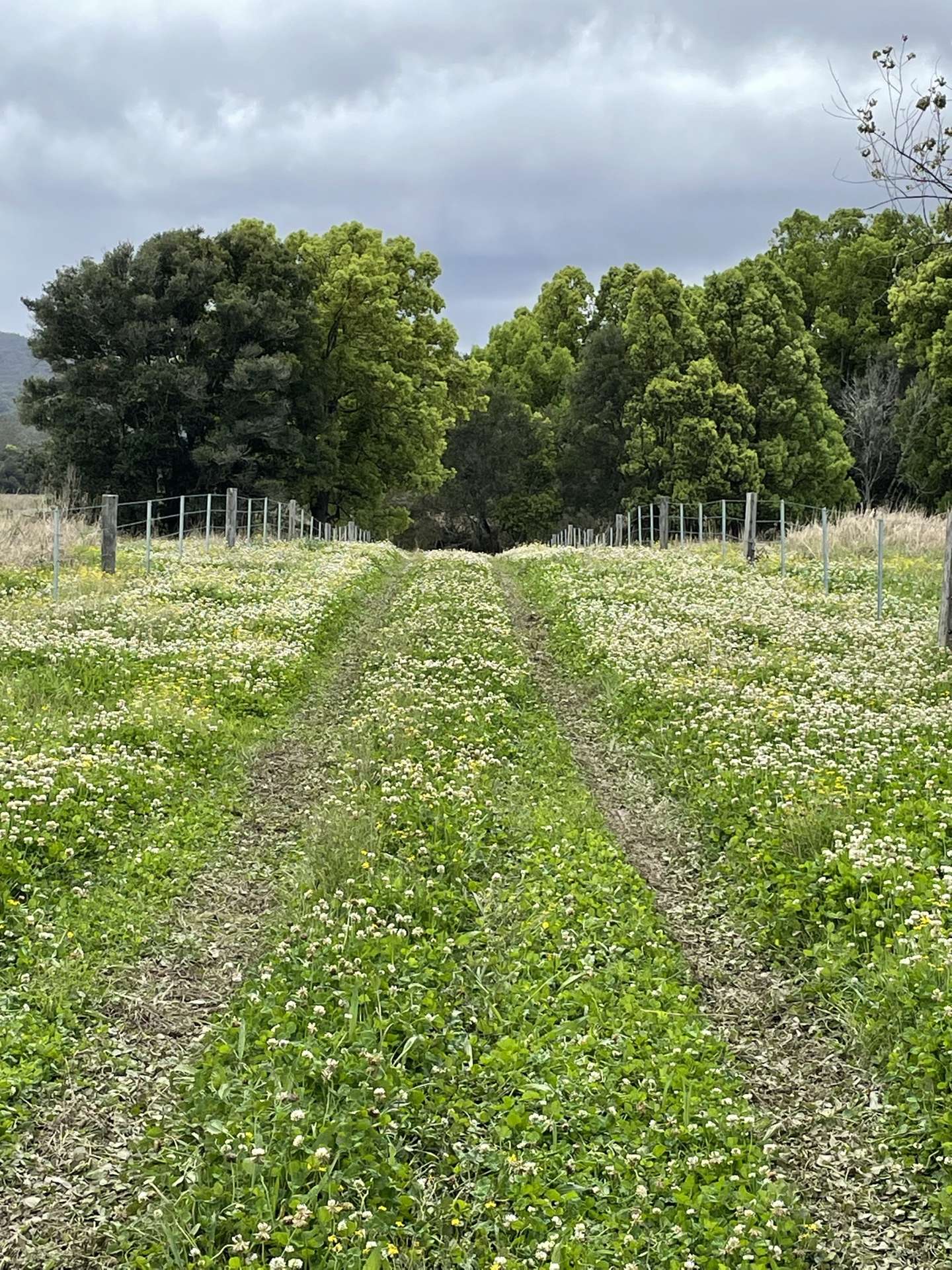 1554 & 1598 Rollands Plains Road, Rollands Plains For Sale by Farmbuy.com - image 28