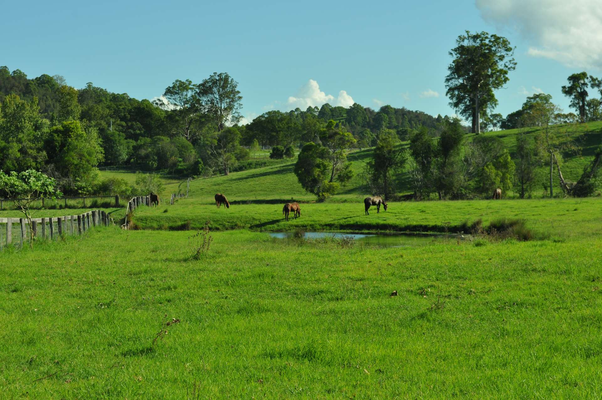 1554 & 1598 Rollands Plains Road, Rollands Plains For Sale by Farmbuy.com - image 23