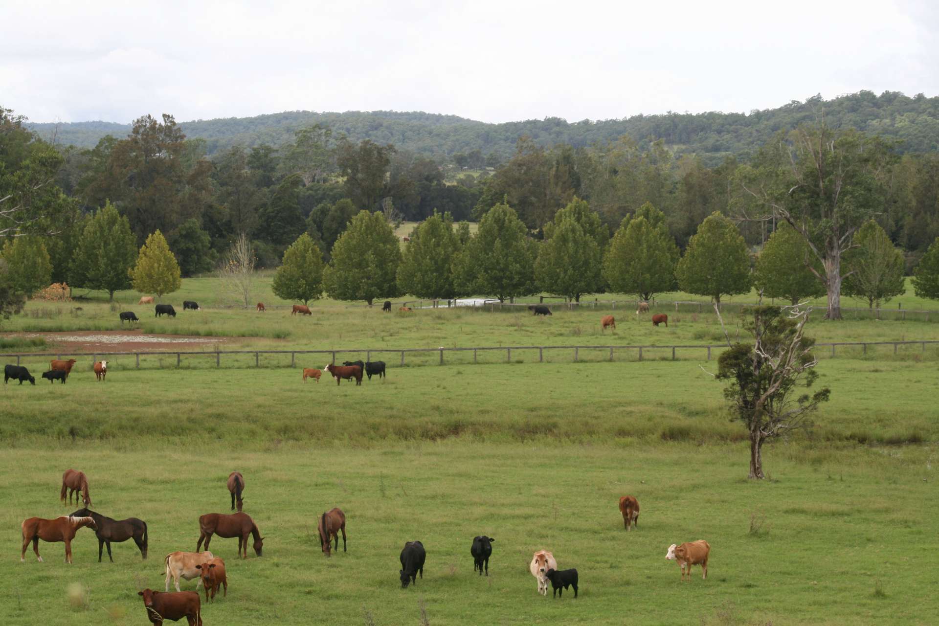 1554 & 1598 Rollands Plains Road, Rollands Plains For Sale by Farmbuy.com - image 14