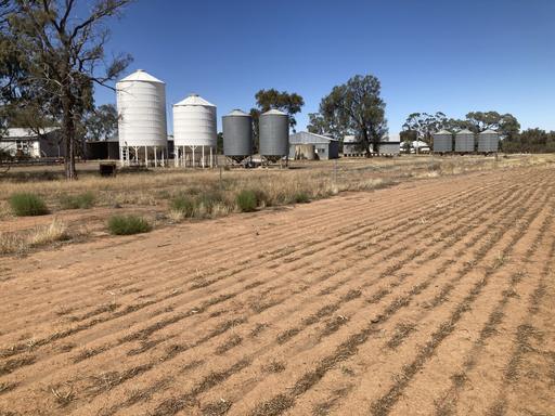 Farm Sold - VIC - Culgoa - 3530 - For Sale by Expressions of Interest - Walsh Property Culgoa 