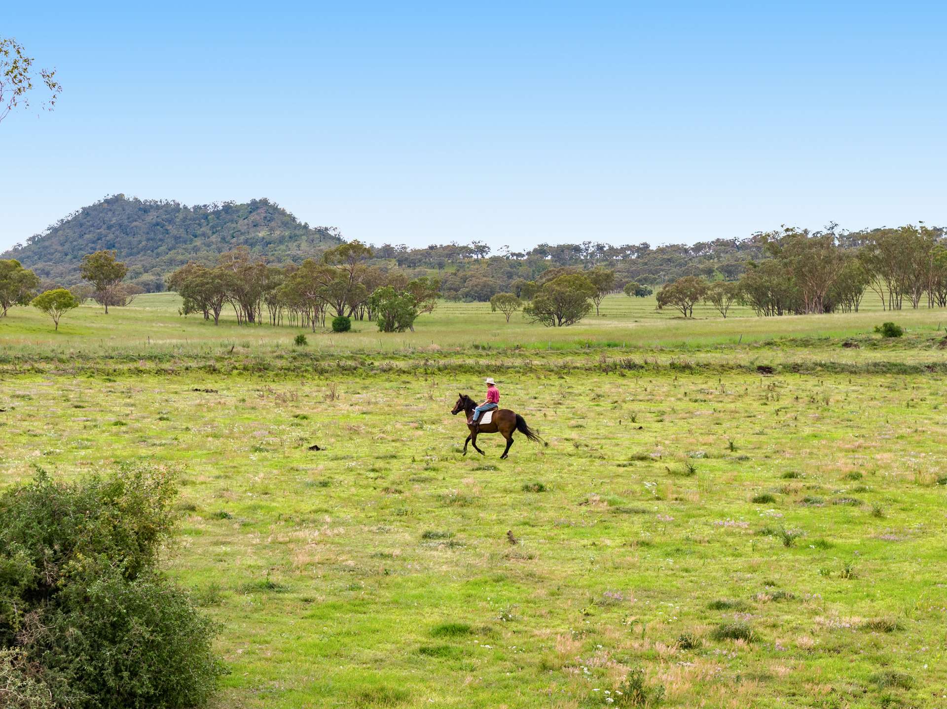 "Mainbar Rise" Lot 1 Inverramsay Road, Goomburra For Sale by Farmbuy.com - image 11