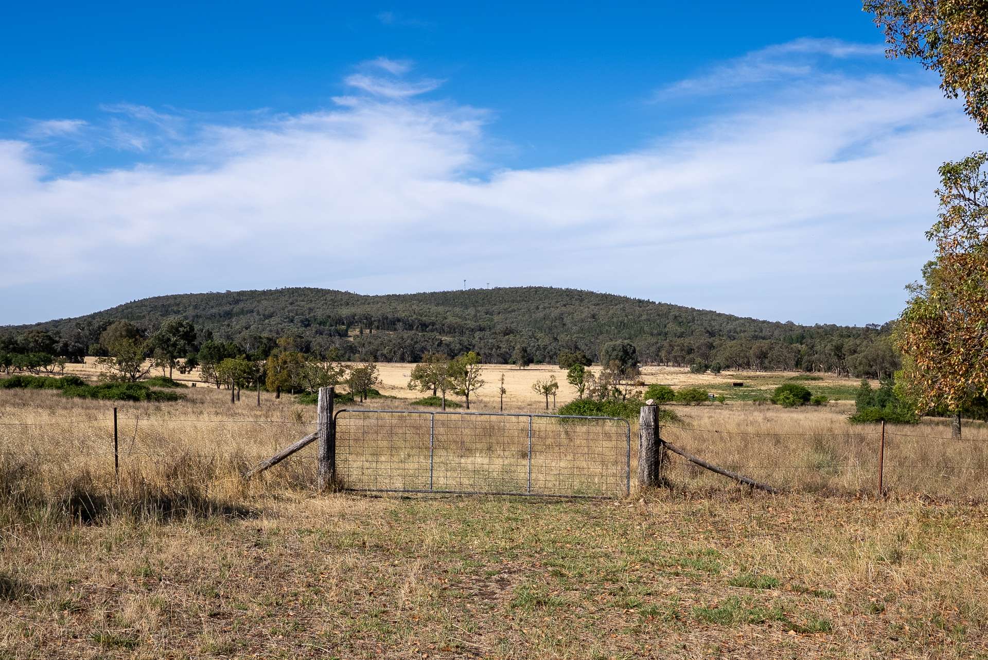 112 Sandy Creek Road, Molong Sold by Farmbuy.com - image 2