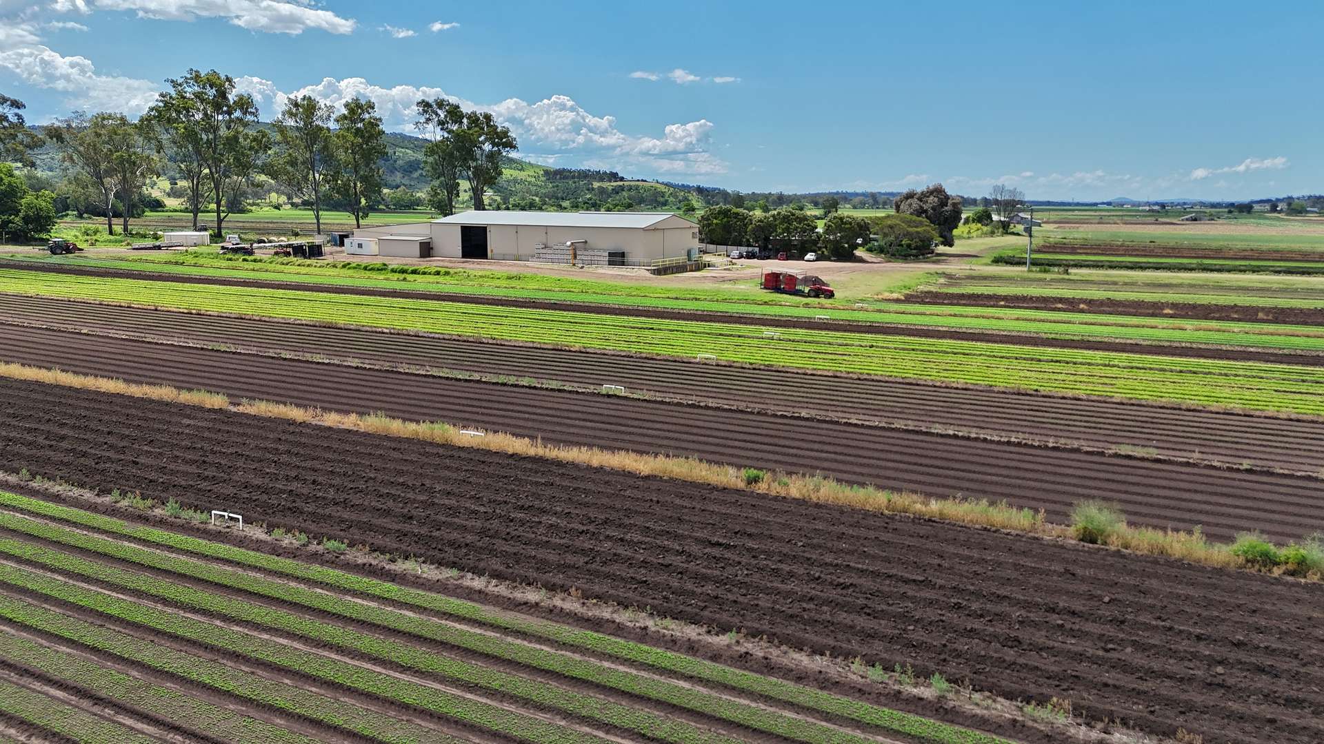 Mulgowie For Sale by Farmbuy.com - image 3