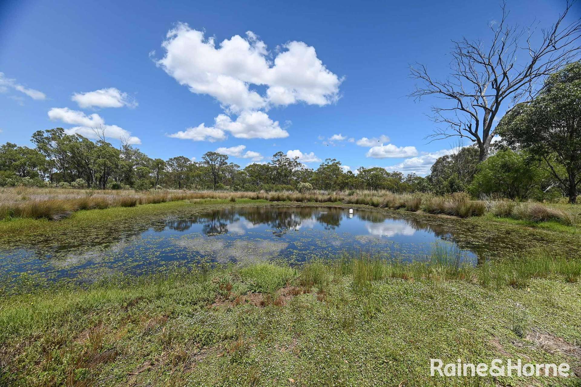 3714 Leyburn-Cunningham Road, Cunningham Sold by Farmbuy.com - image 3