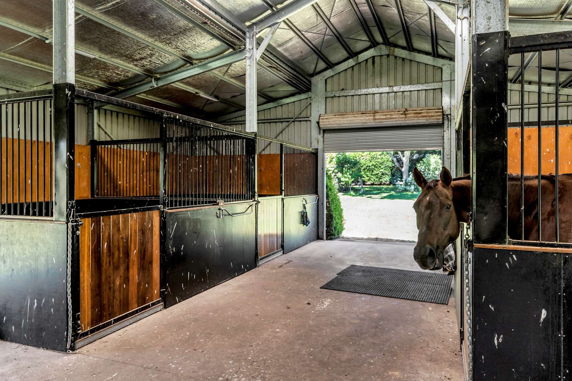 Bega Sold by Farmbuy.com - image 33
