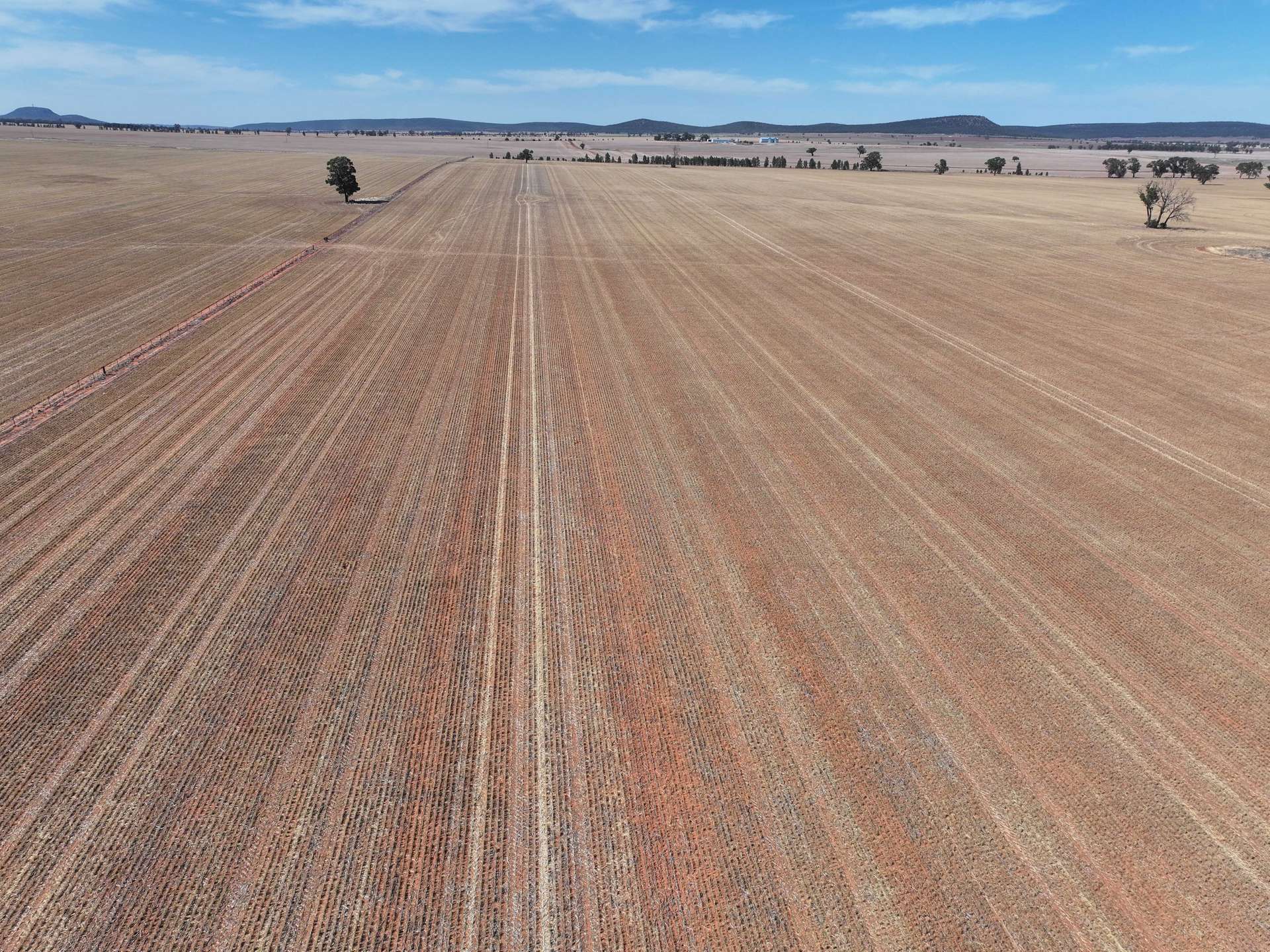 'Nolens'  5000 Barellan Road, Colinroobie Sold by Farmbuy.com - image 13