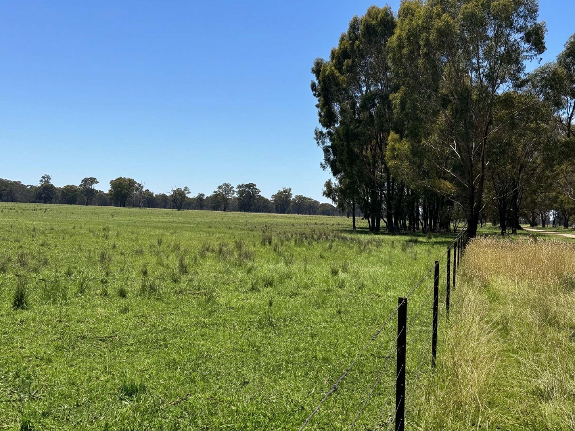 Cnr Clohessy Road And Escort Bridge Road, Norong For Sale by Farmbuy.com - image 6