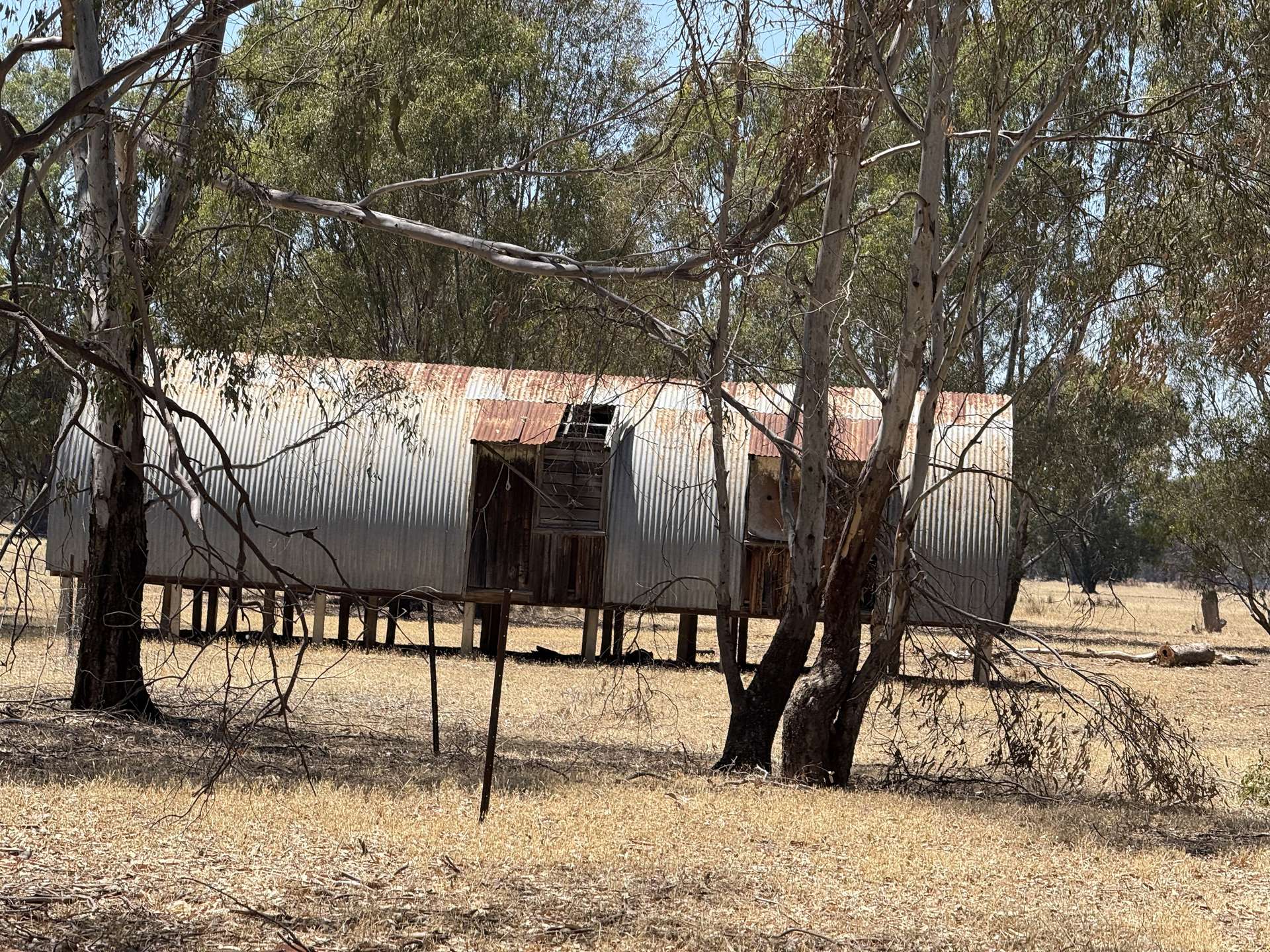 Cnr Clohessy Road And Escort Bridge Road, Norong For Sale by Farmbuy.com - image 14