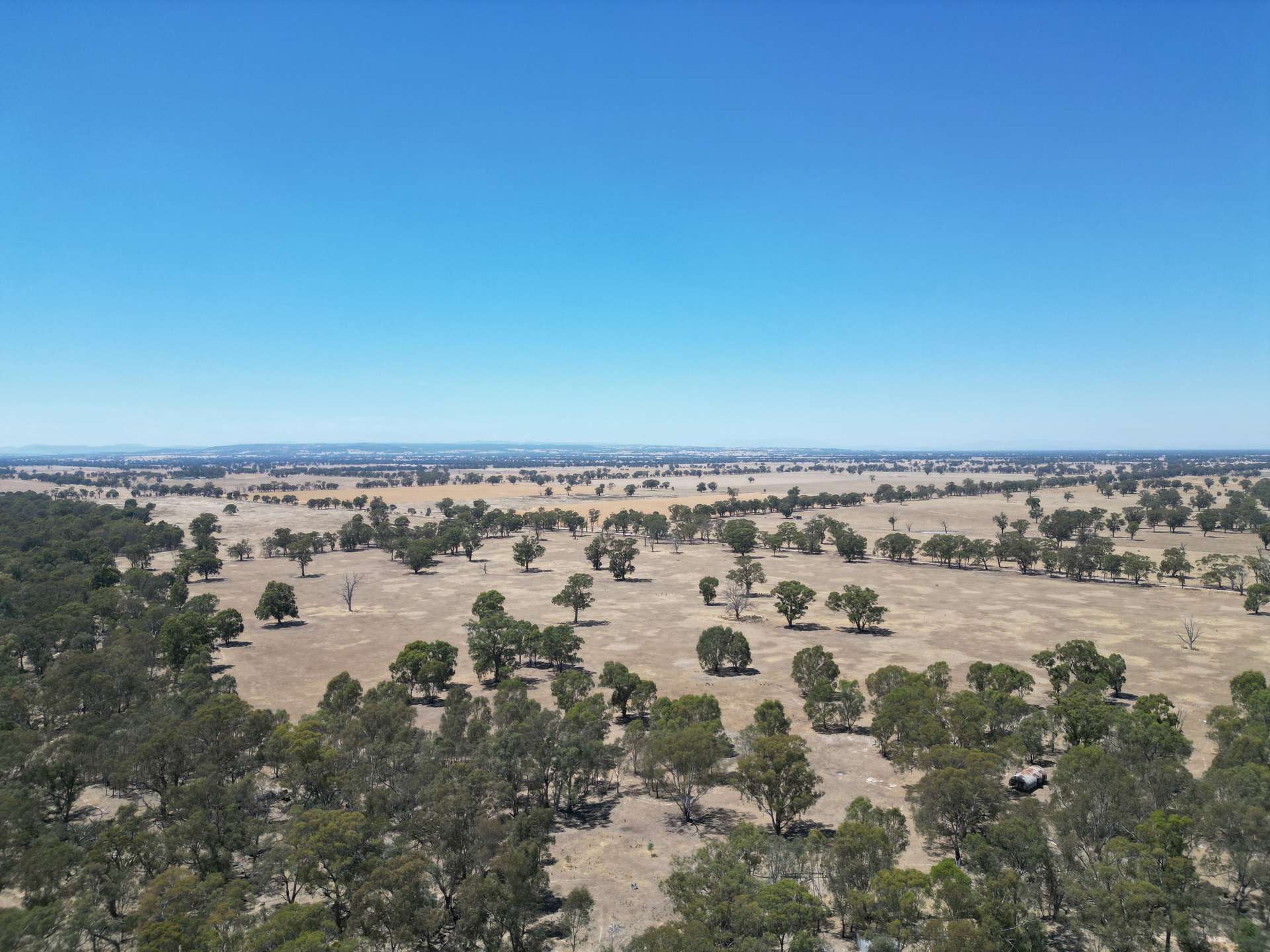 Cnr Clohessy Road And Escort Bridge Road, Norong For Sale by Farmbuy.com - image 13