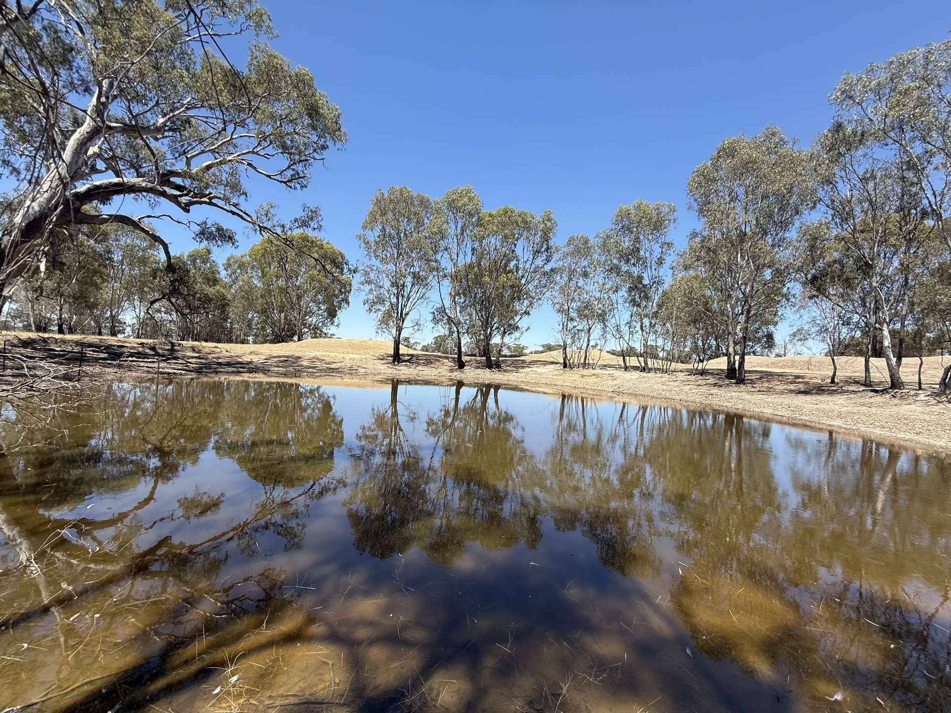 Cnr Clohessy Road And Escort Bridge Road, Norong For Sale by Farmbuy.com - image 8