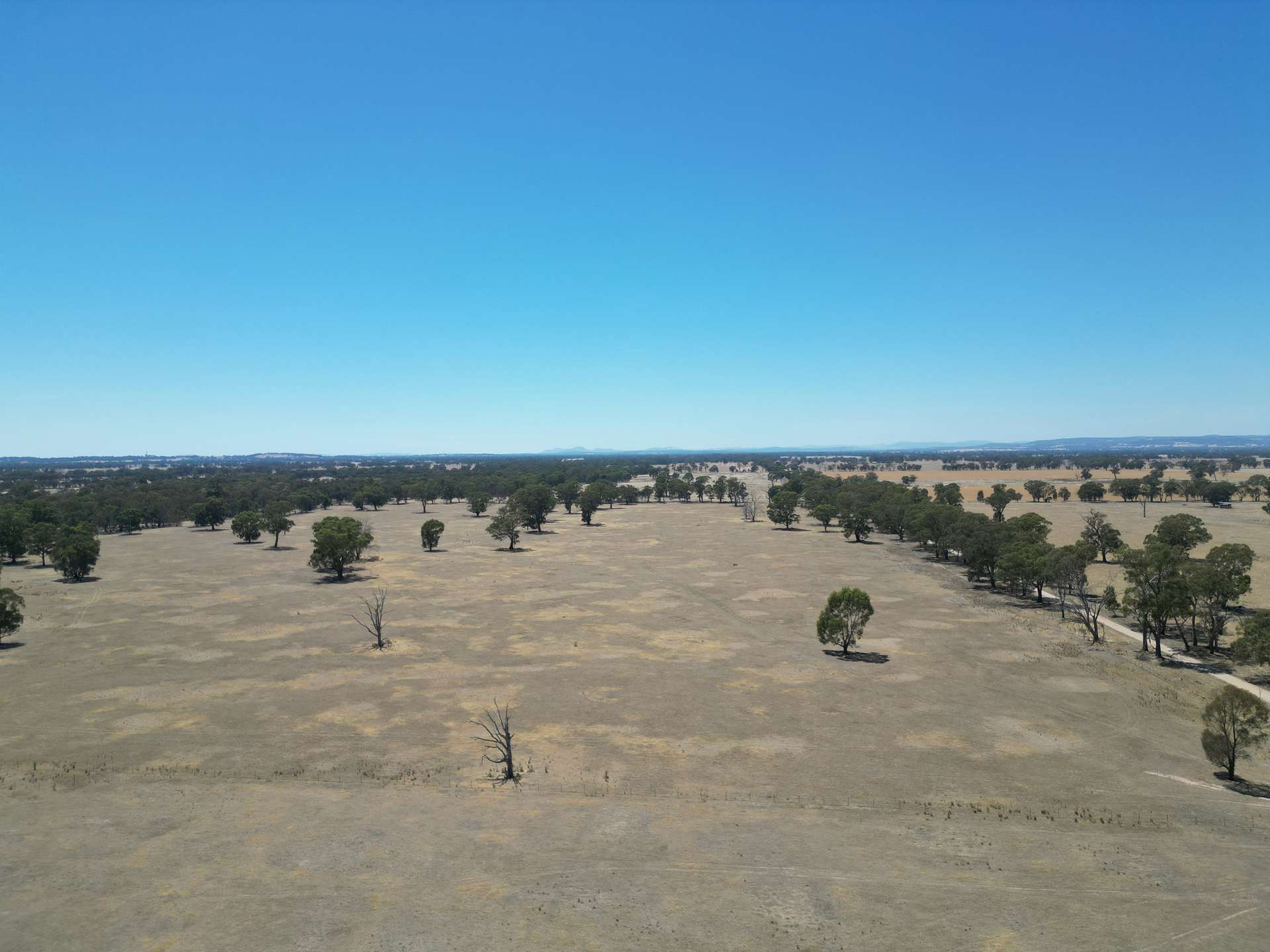 Cnr Clohessy Road And Escort Bridge Road, Norong For Sale by Farmbuy.com - image 3