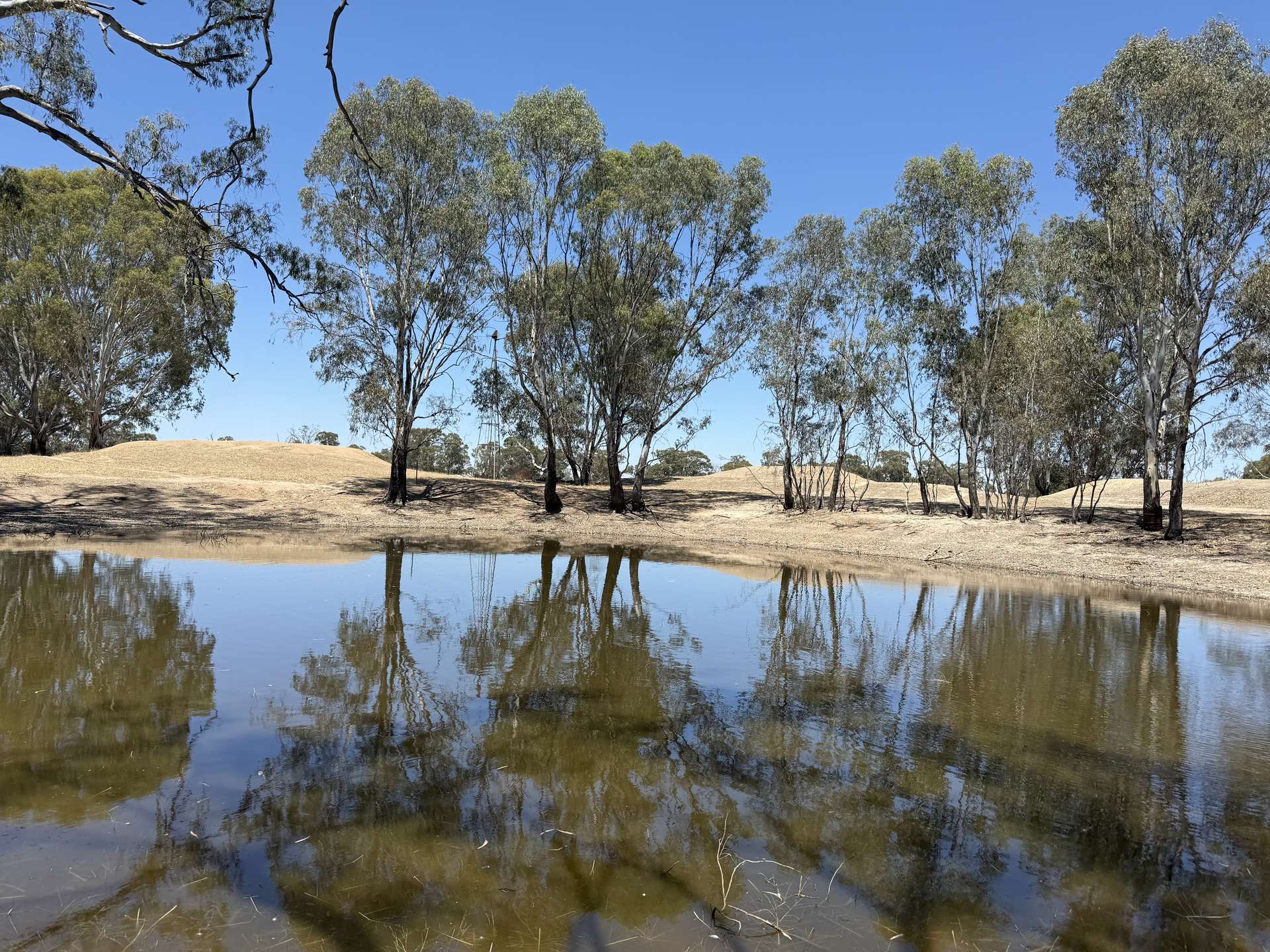Cnr Clohessy Road And Escort Bridge Road, Norong For Sale by Farmbuy.com - image 8