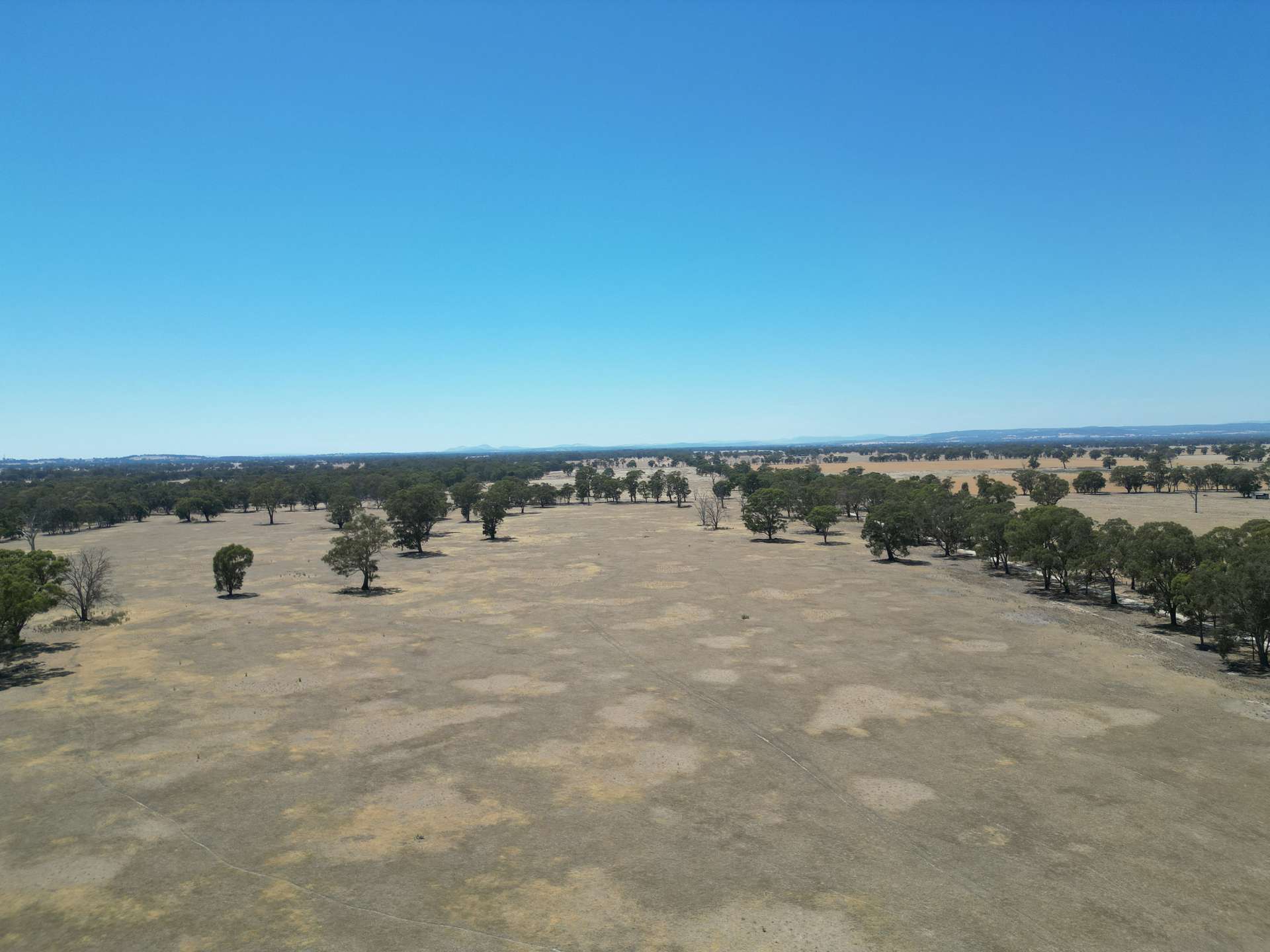 Cnr Clohessy Road And Escort Bridge Road, Norong For Sale by Farmbuy.com - image 7