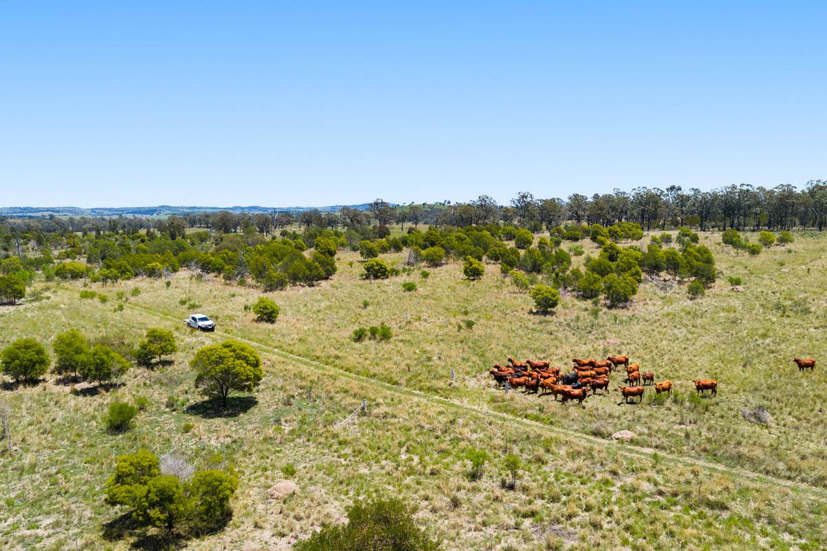 723 Quinalow Peranga Road, Peranga Sold by Farmbuy.com - image 23