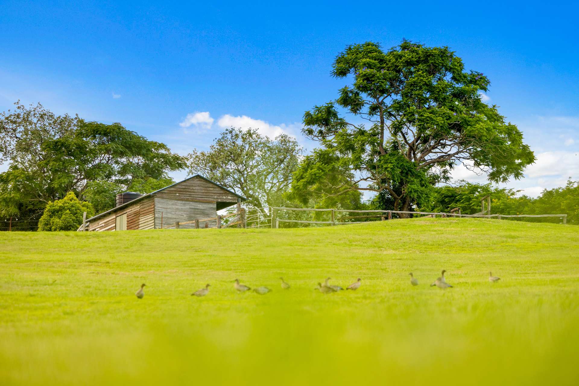 75 Litschner Road, Nahrunda Sold by Farmbuy.com - image 24