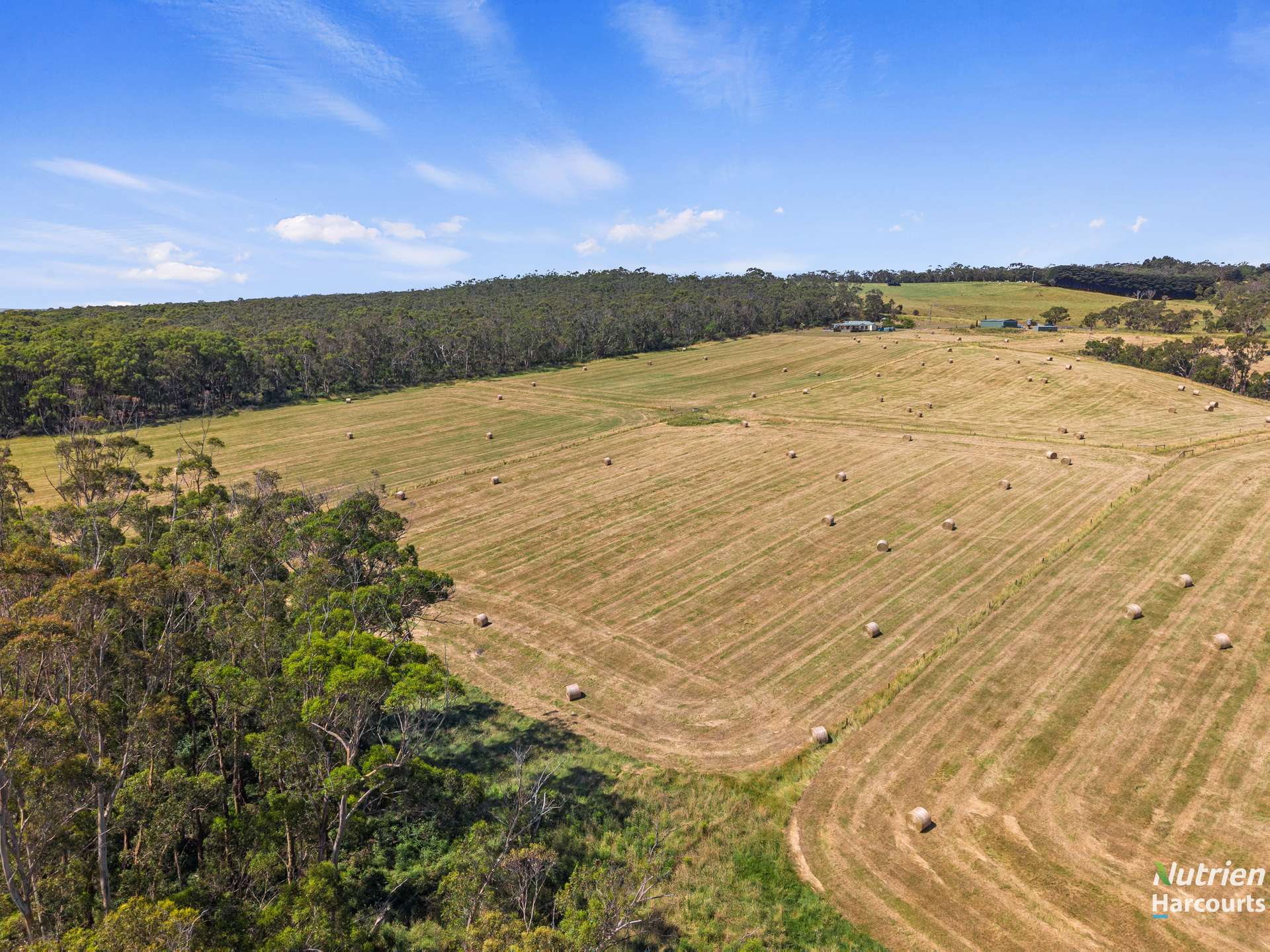 175 Bornong Road, Cooriemungle For Sale by Farmbuy.com - image 5