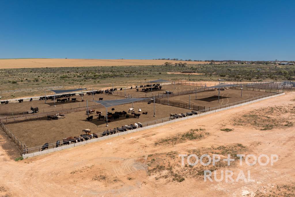 Lot 106, Hunter Road, Nildottie SA 5238