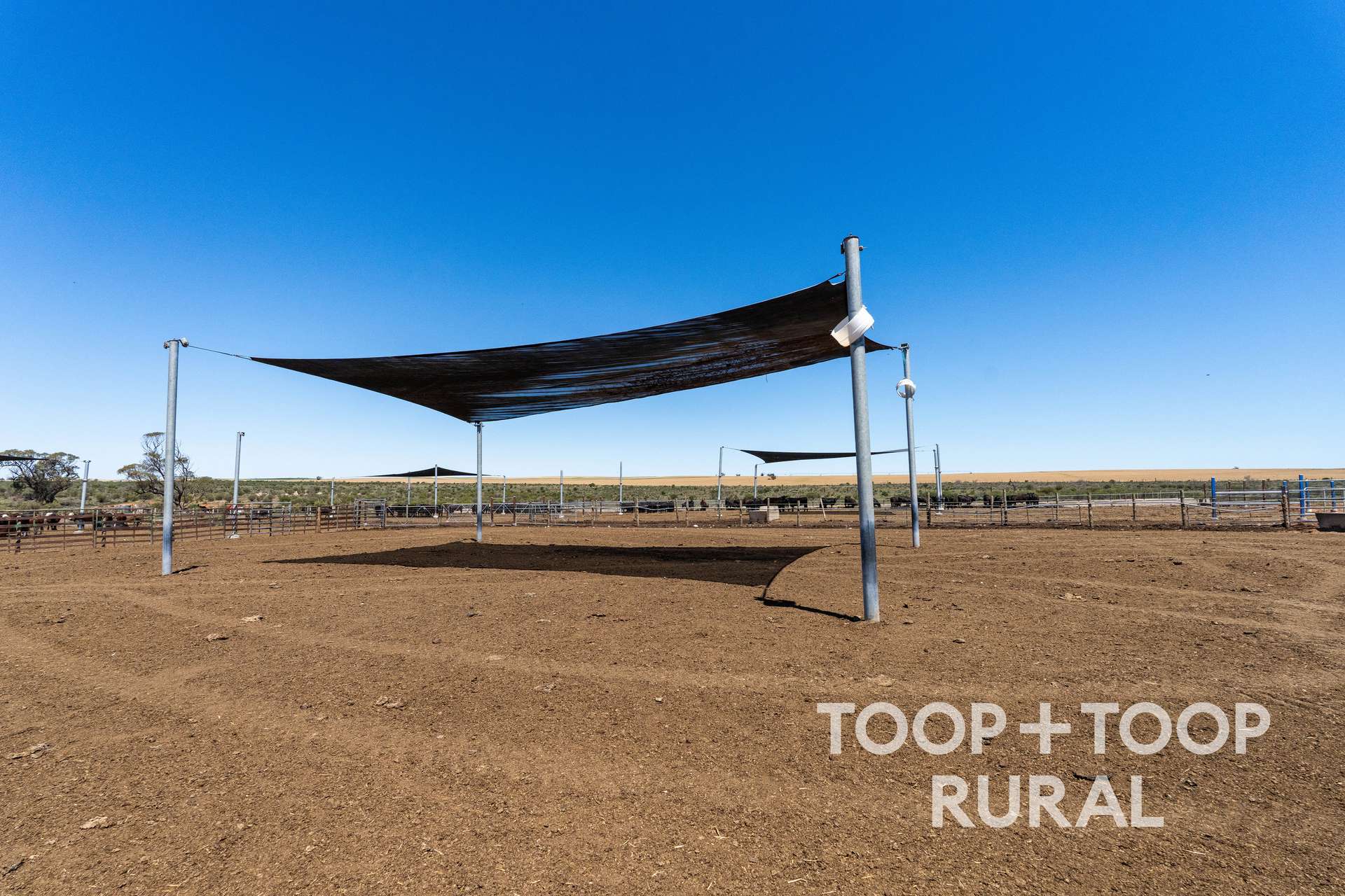 Lot 106,  Hunter Road, Nildottie For Sale by Farmbuy.com - image 5