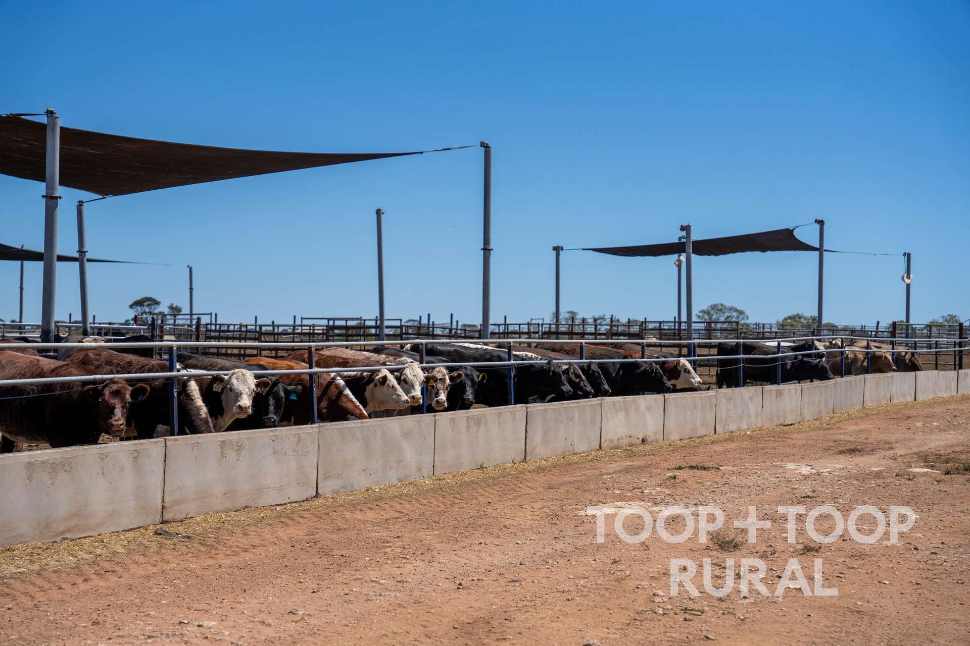 Lot 106,  Hunter Road, Nildottie For Sale by Farmbuy.com - image 2