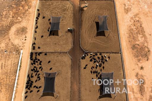 Lot 106&comma; Hunter Road, Nildottie SA 5238