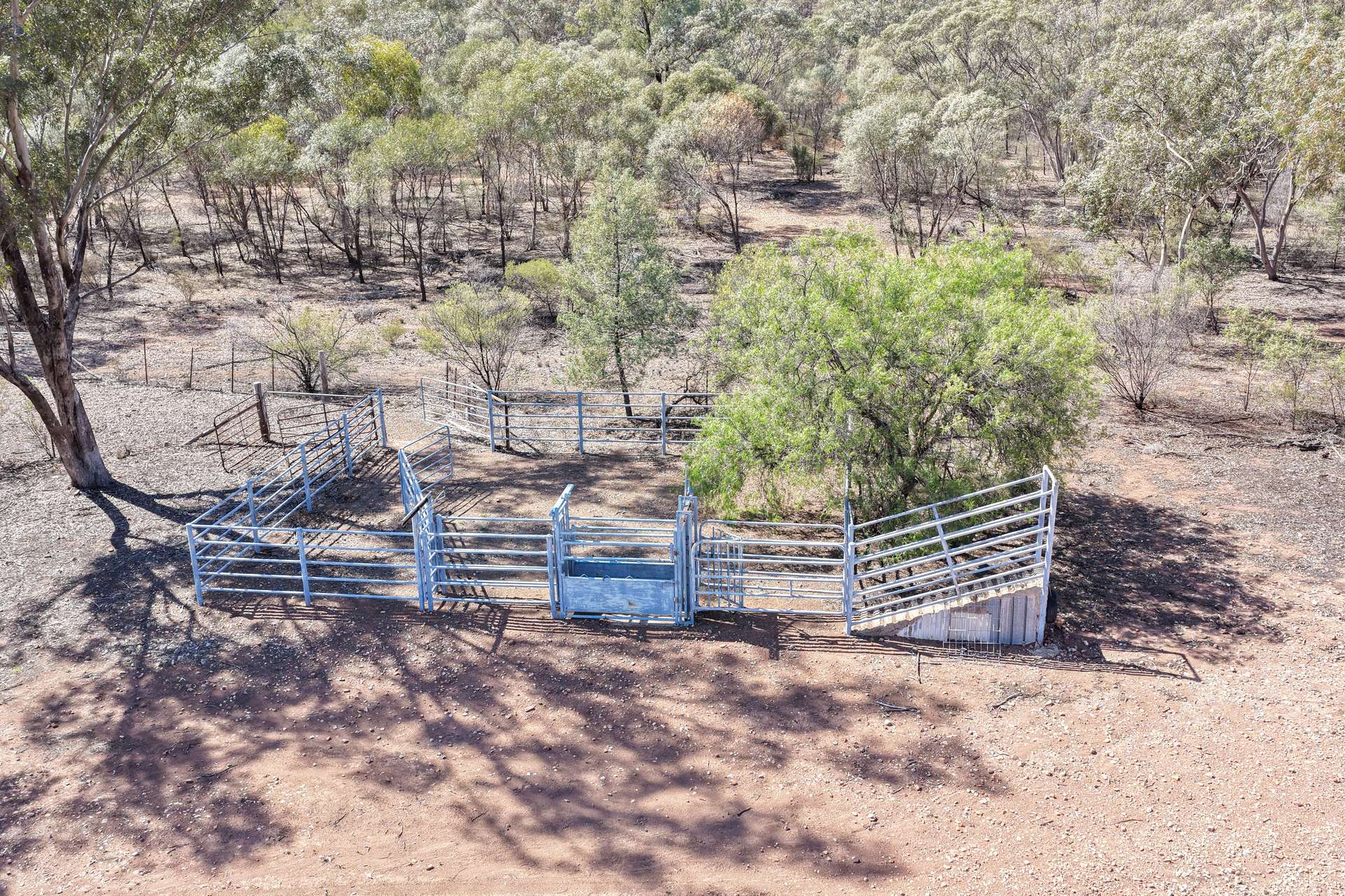 'Milbee Hill' 6318 Lake Cargelligo Road, Condobolin Sold by Farmbuy.com - image 30