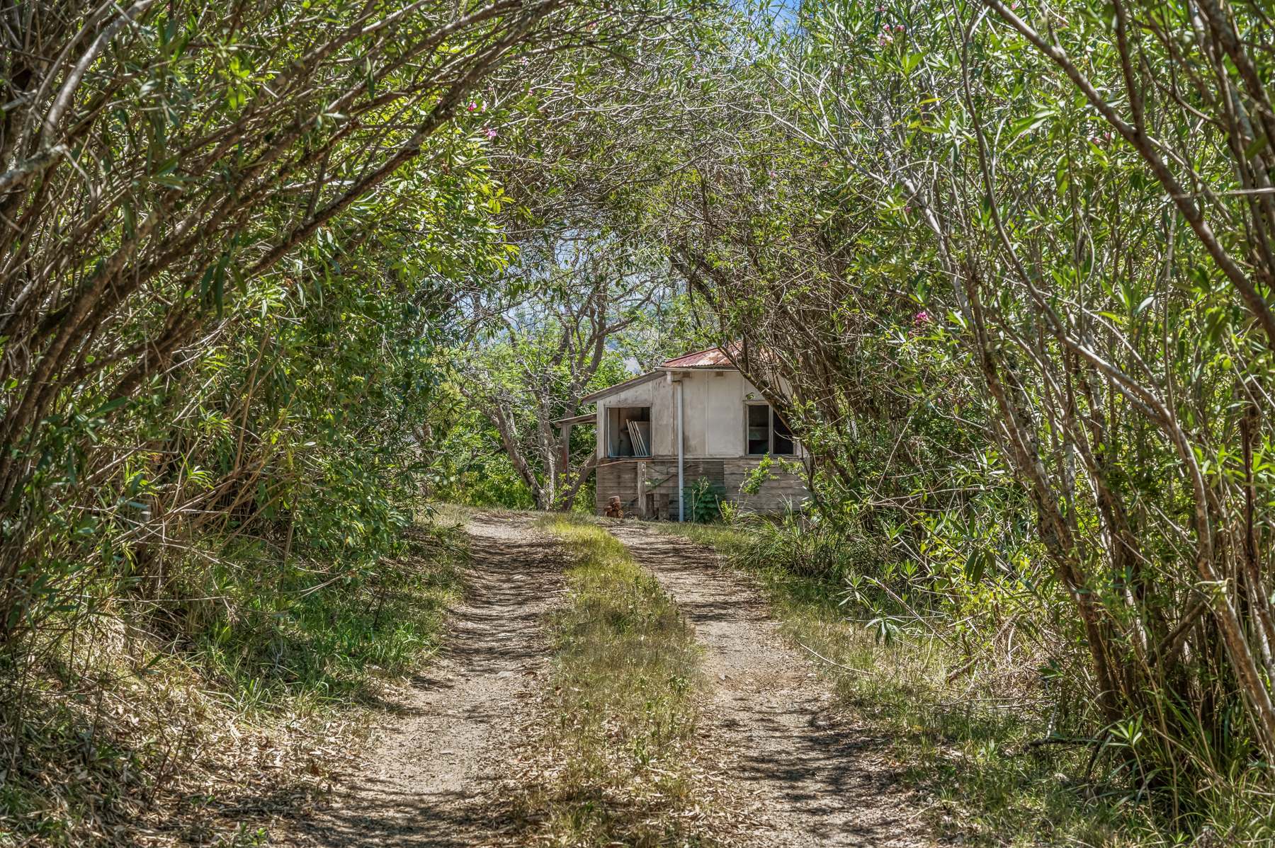 103 Callaghans Creek Road, Bundook For Sale by Farmbuy.com - image 25