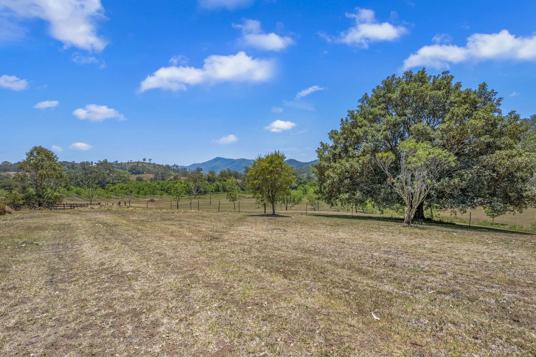 103 Callaghans Creek Road, Bundook For Sale by Farmbuy.com - image 32