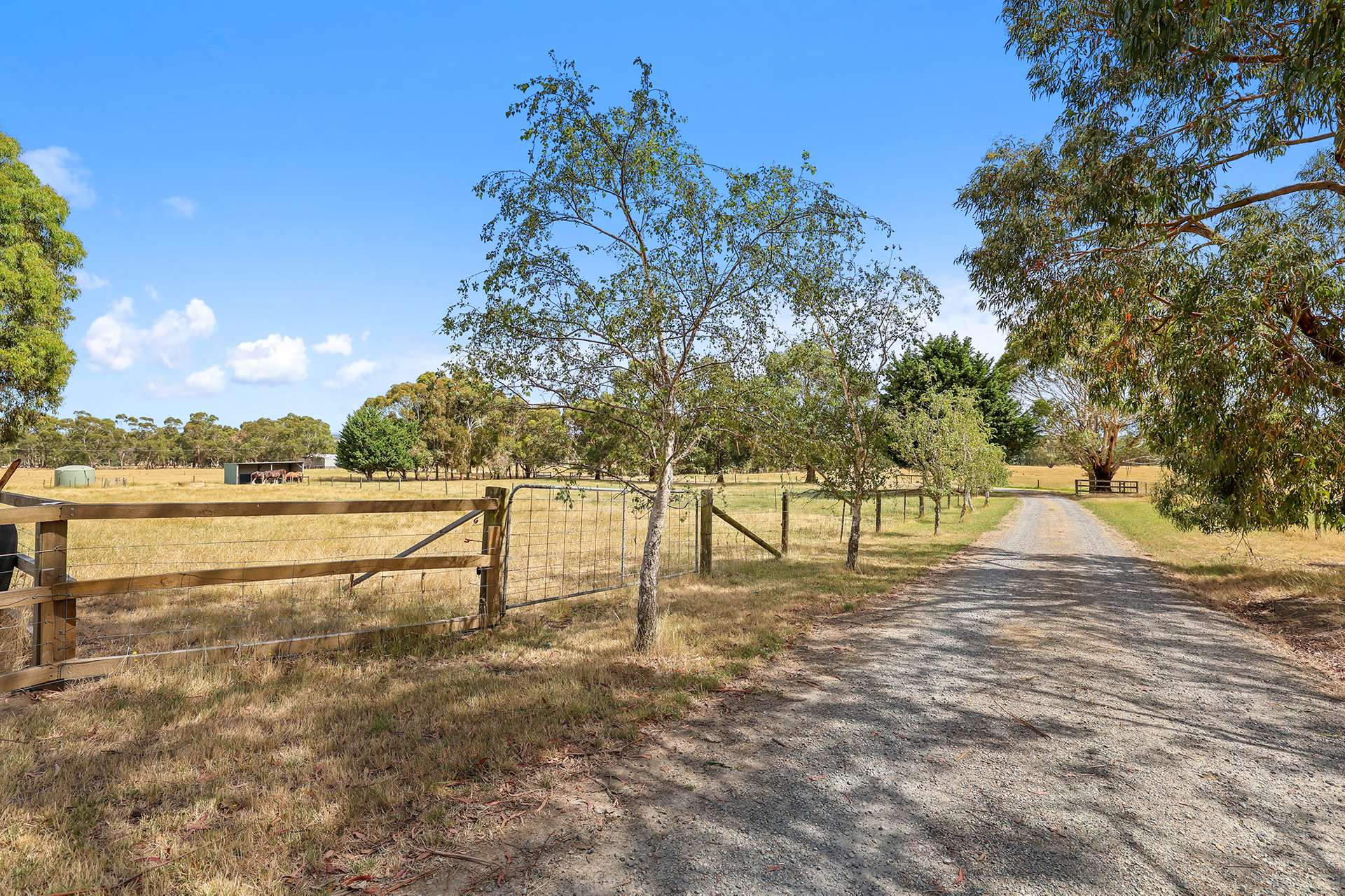 31 Jagoe Road, Ripplebrook Sold by Farmbuy.com - image 21
