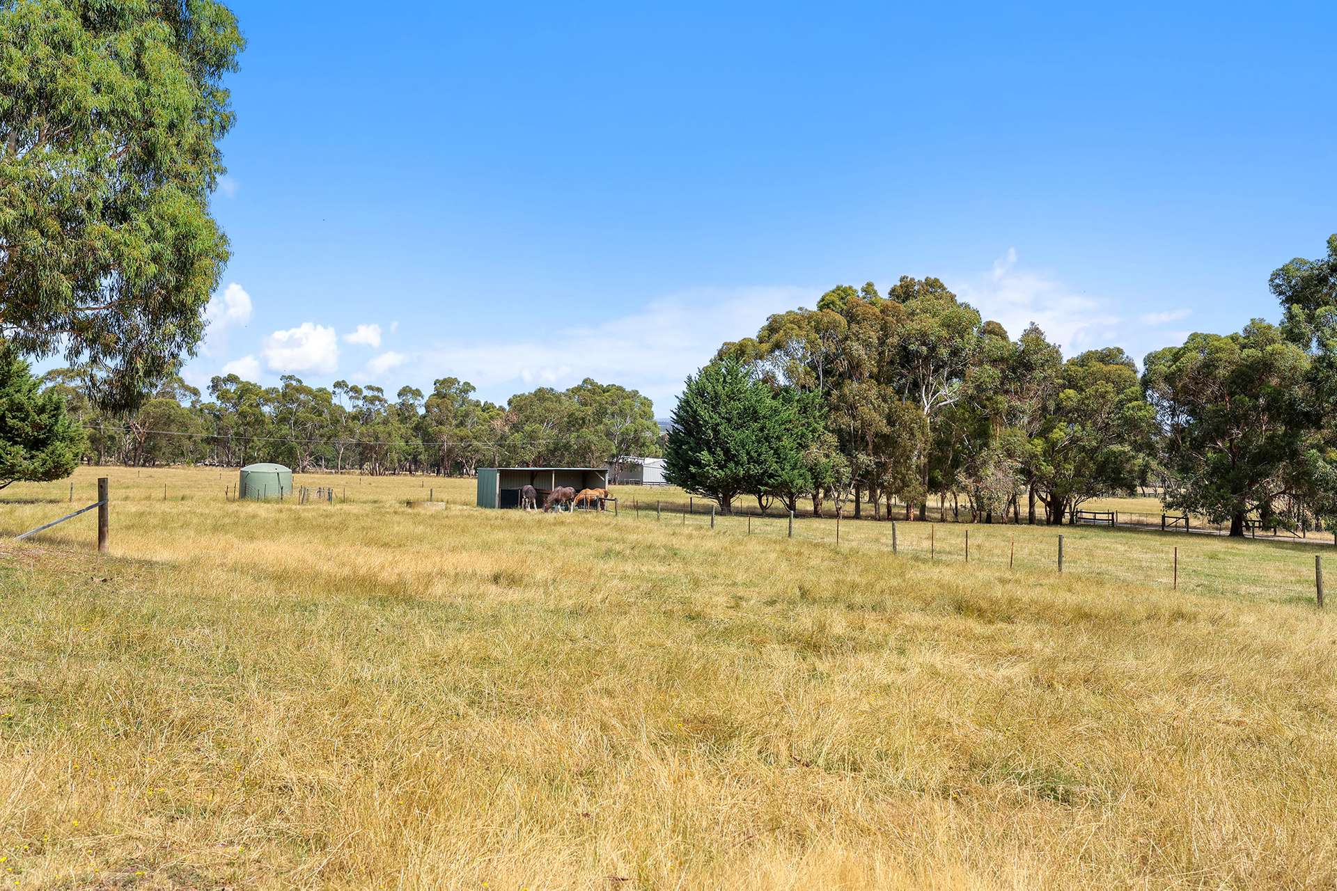 31 Jagoe Road, Ripplebrook Sold by Farmbuy.com - image 22