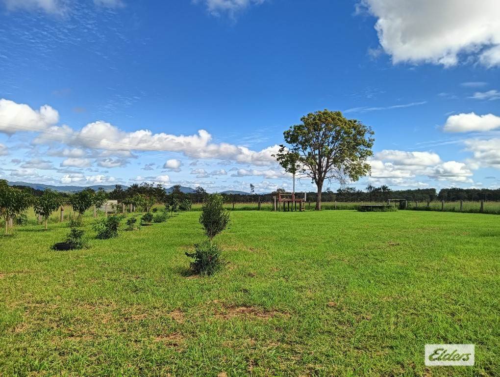 667 Beckmanns Road, Glenwood For Sale by Farmbuy.com - image 5