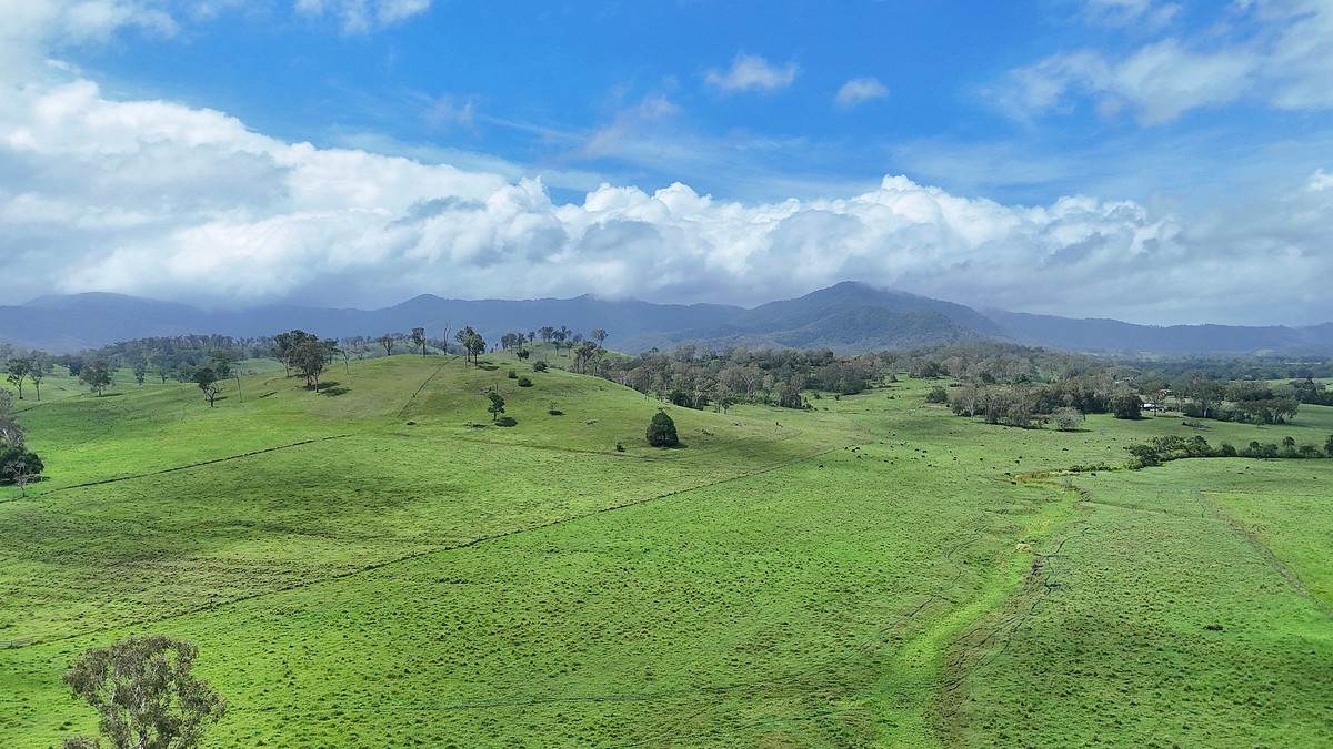38 Bella Road, Sarina Sold by Farmbuy.com - image 2