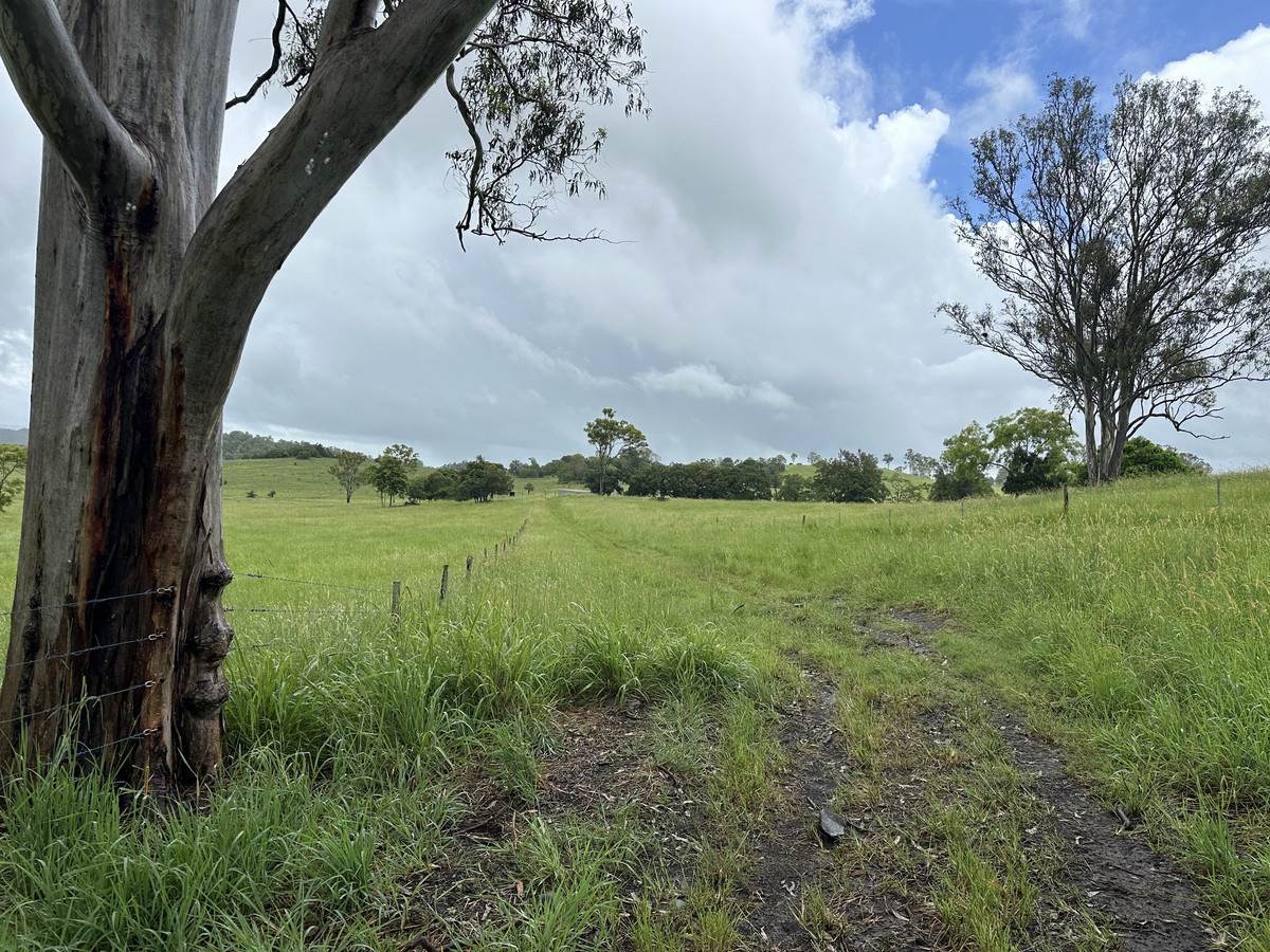 38 Bella Road, Sarina Sold by Farmbuy.com - image 12