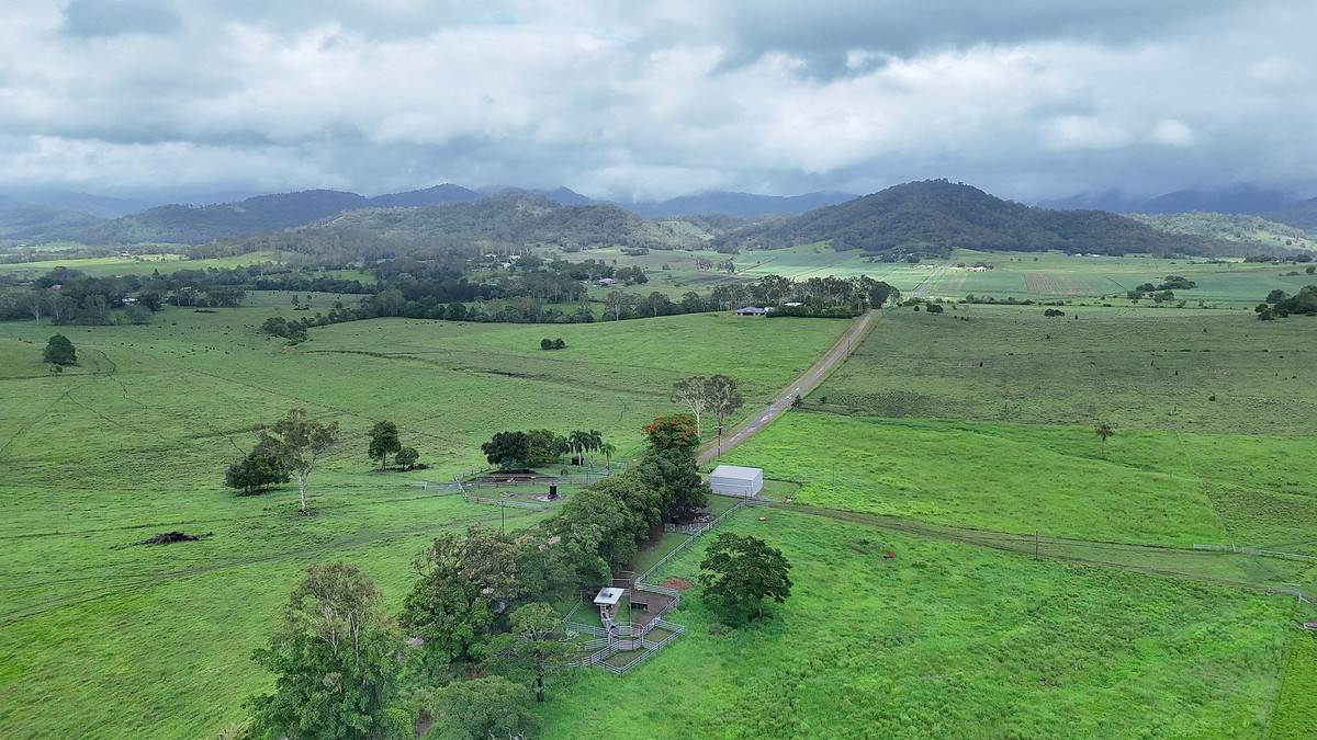 38 Bella Road, Sarina Sold by Farmbuy.com - image 3