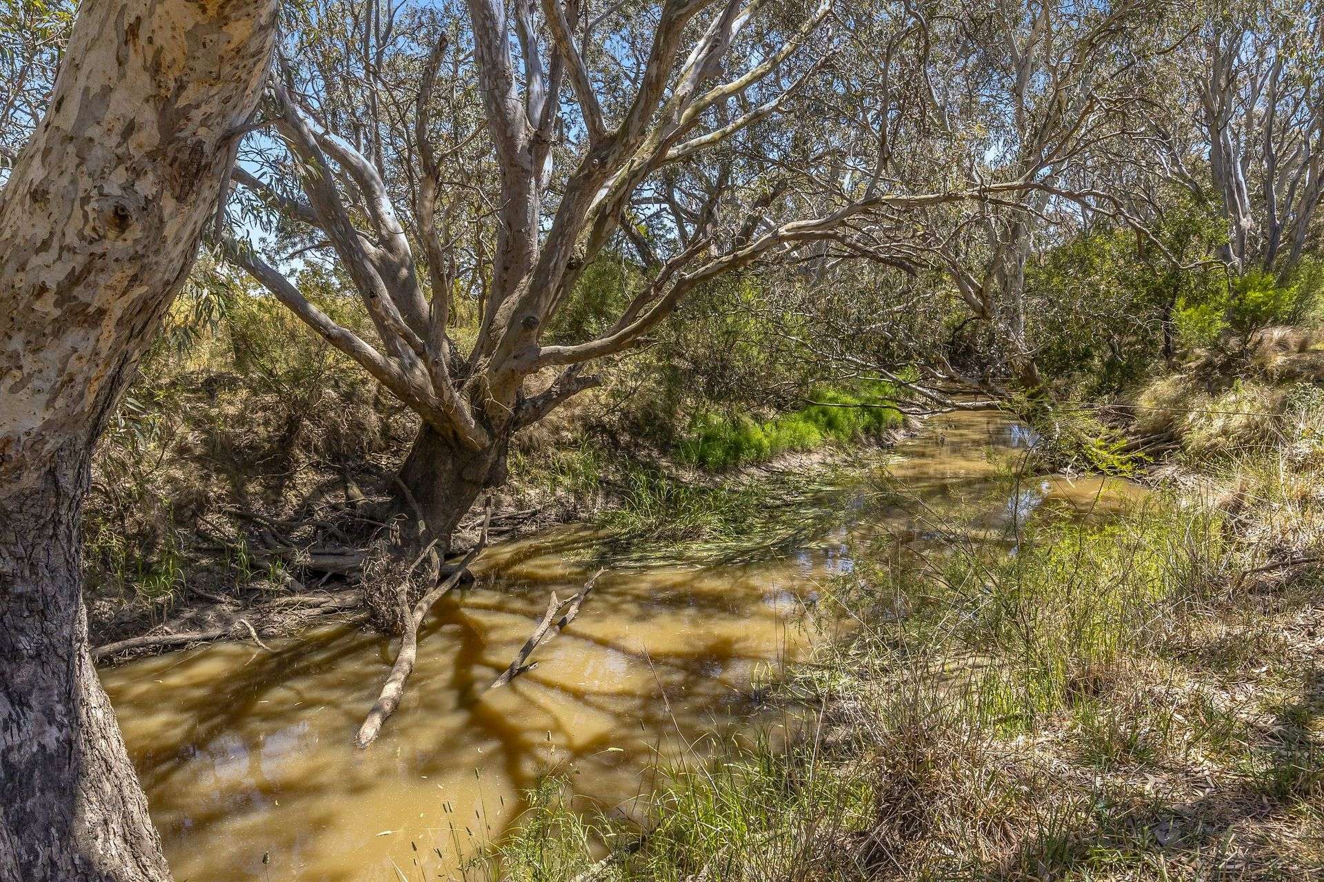 1145 Inverleigh-Winchelsea Road, Inverleigh For Sale by Farmbuy.com - image 19