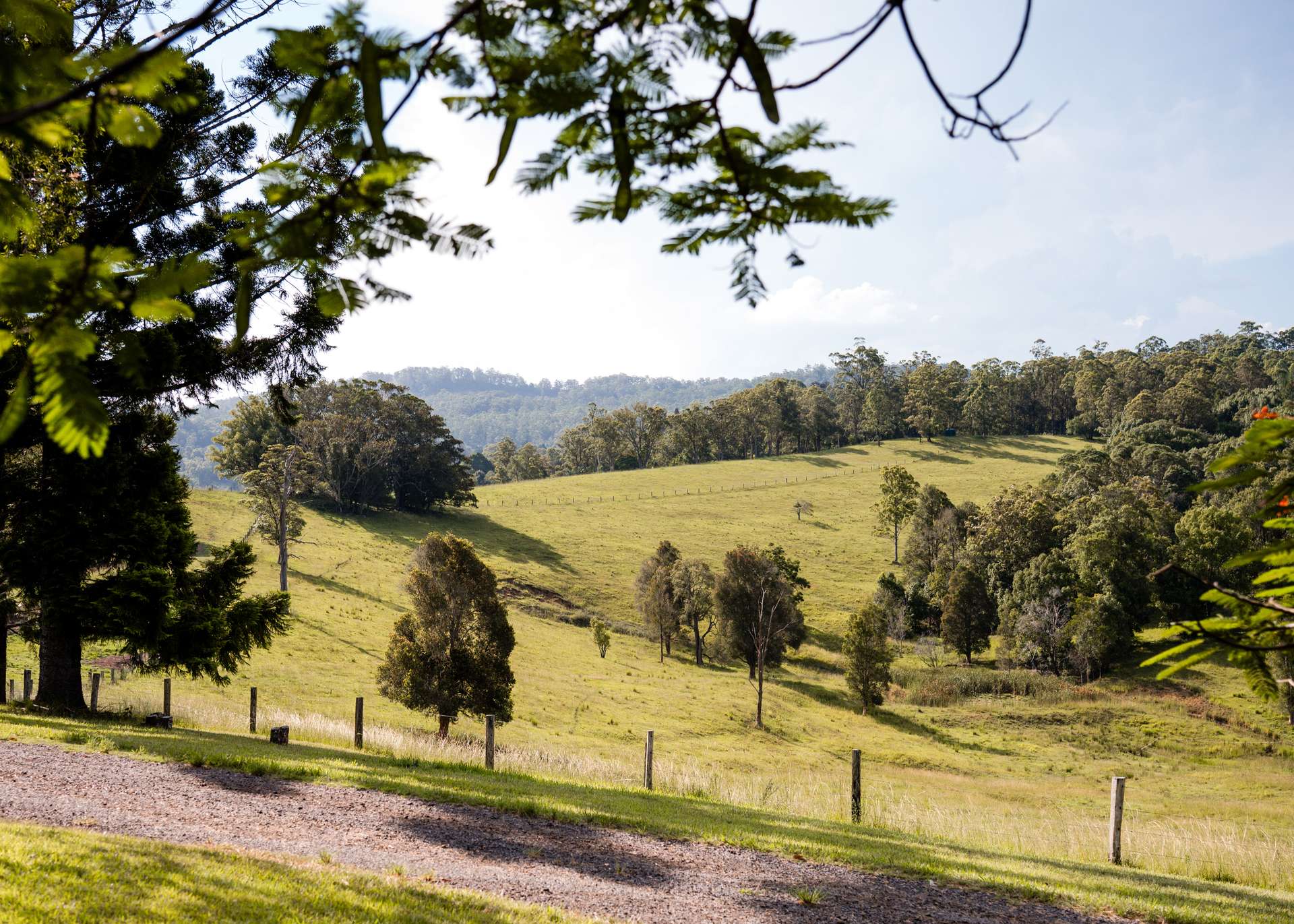 94 Hutchinson Road, Nimbin Sold by Farmbuy.com - image 14
